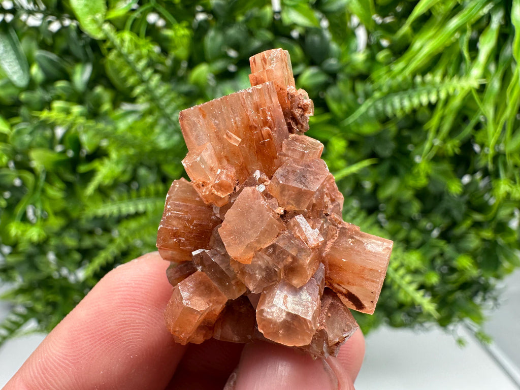 Moroccan Aragonite Sputnik Cluster: Raw Crystal Stone Decor