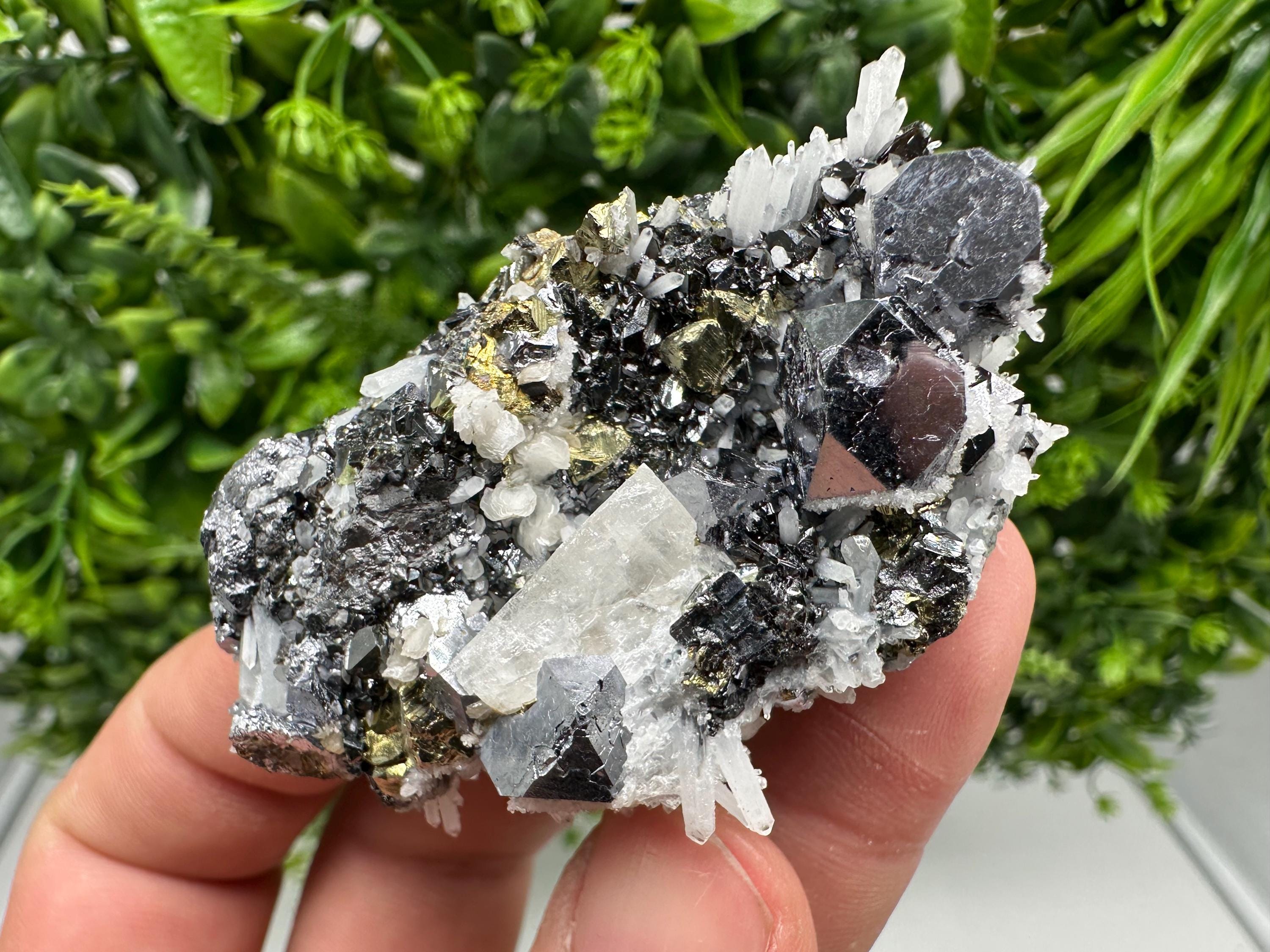 Rare Galena Sphalerite Pyrite Specimen, Krushev dol Mine, Bulgaria
