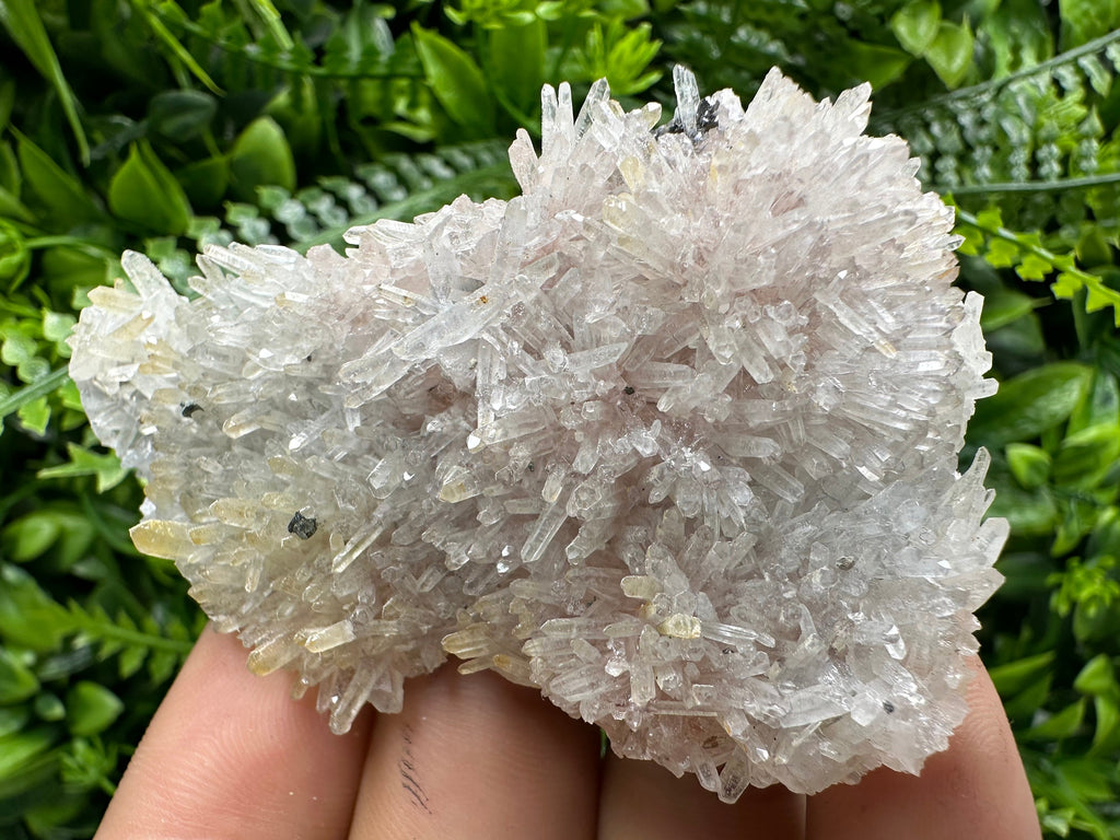 Quartz with Chlorite and Hematite Inclusions: Borieva Mine Crystal Decor