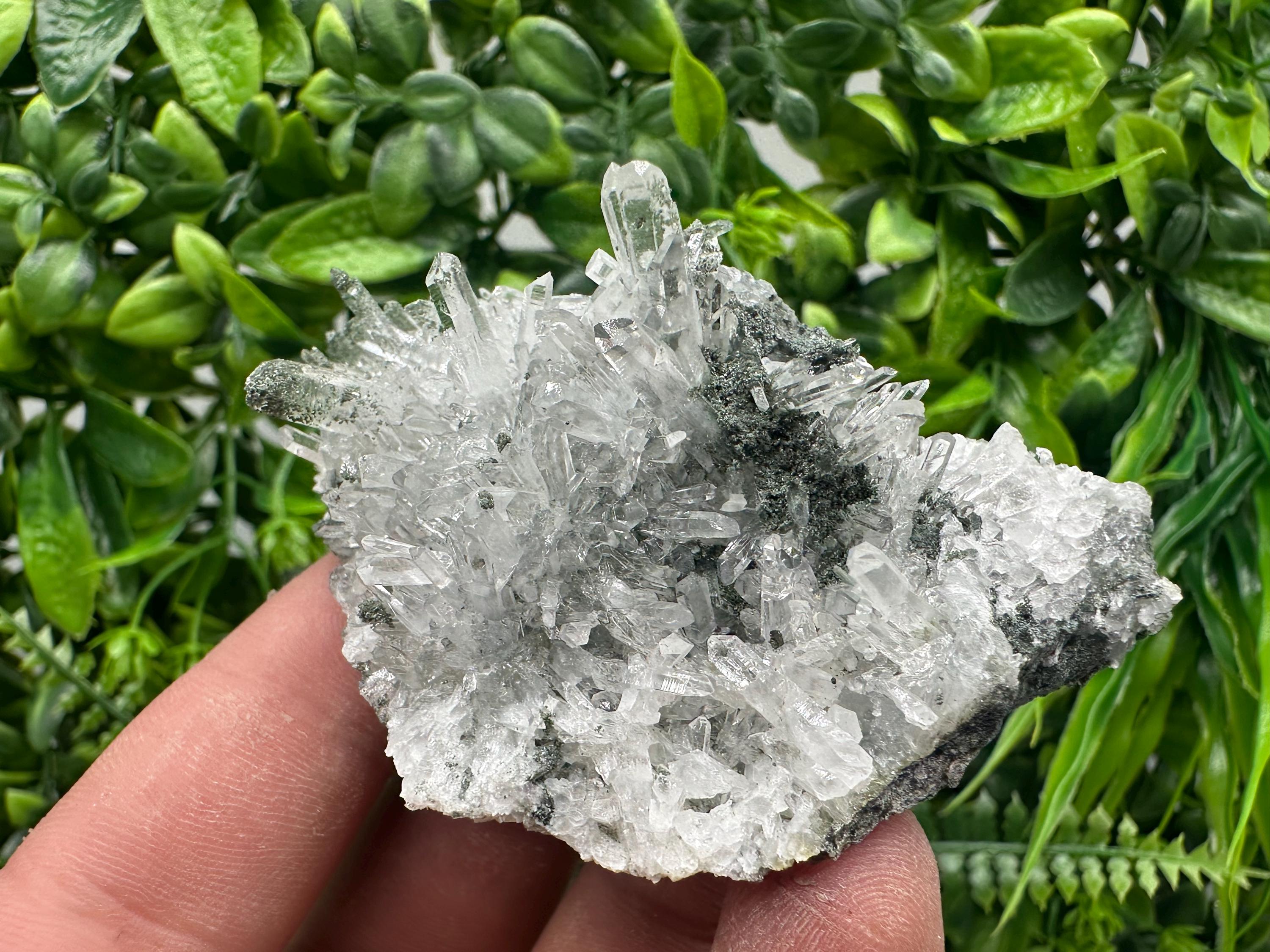 Transparent Quartz on Chlorite Matrix - Borieva Mine, Bulgaria