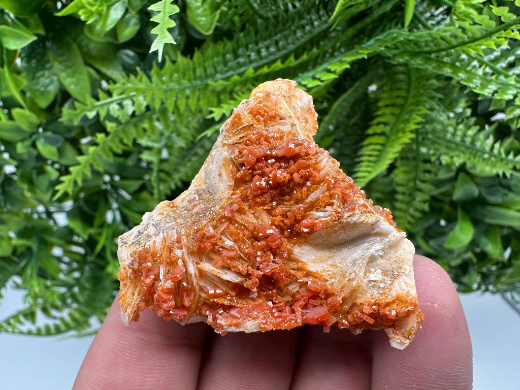 Red Vanadinite Crystal Cluster on Matrix, Morocco Mineral Specimen