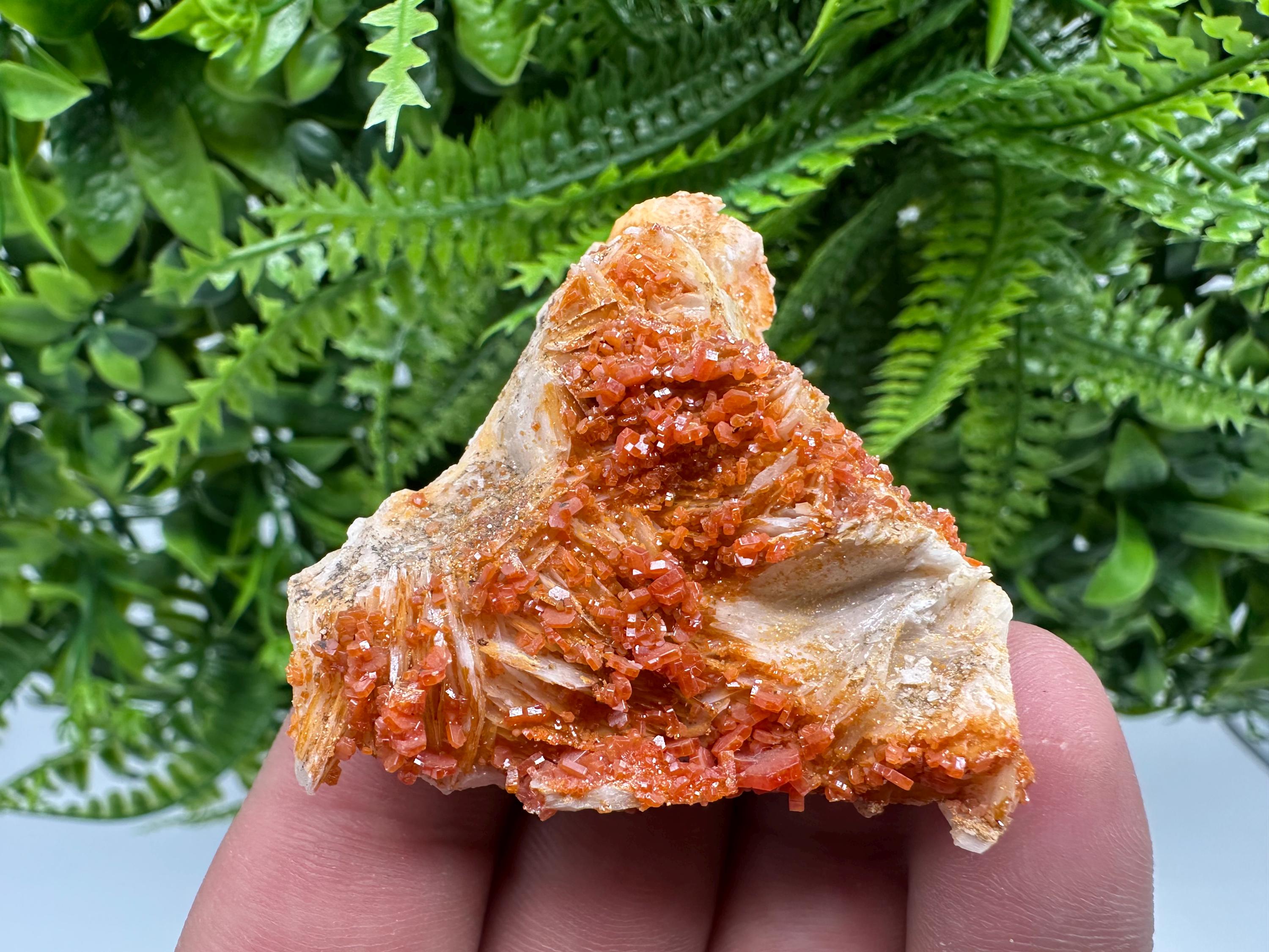 Red Vanadinite Crystal Cluster on Matrix, Morocco Mineral Specimen