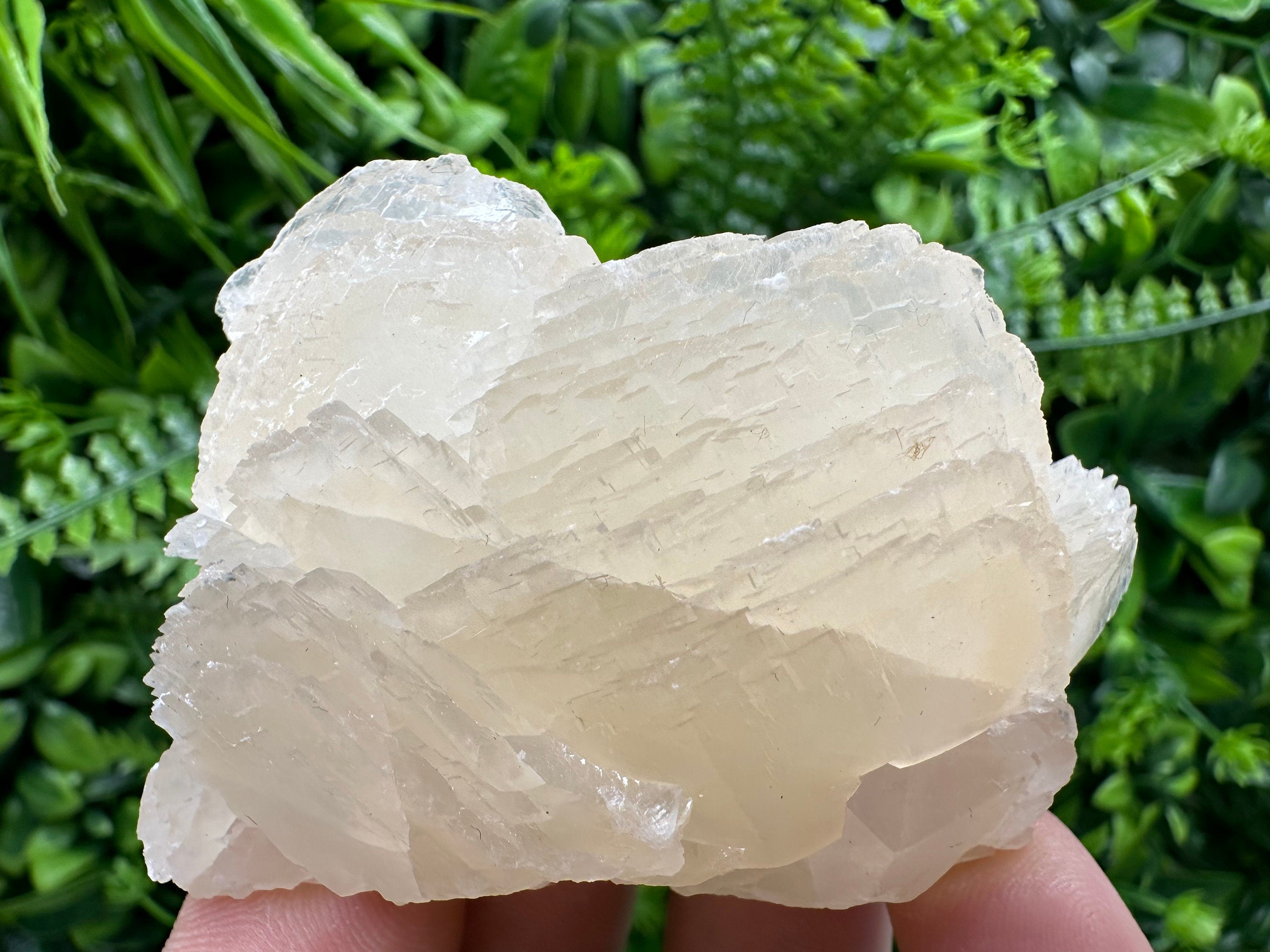 Mangano Calcite with Galena, Rare Mineral Specimen, Borieva Mine