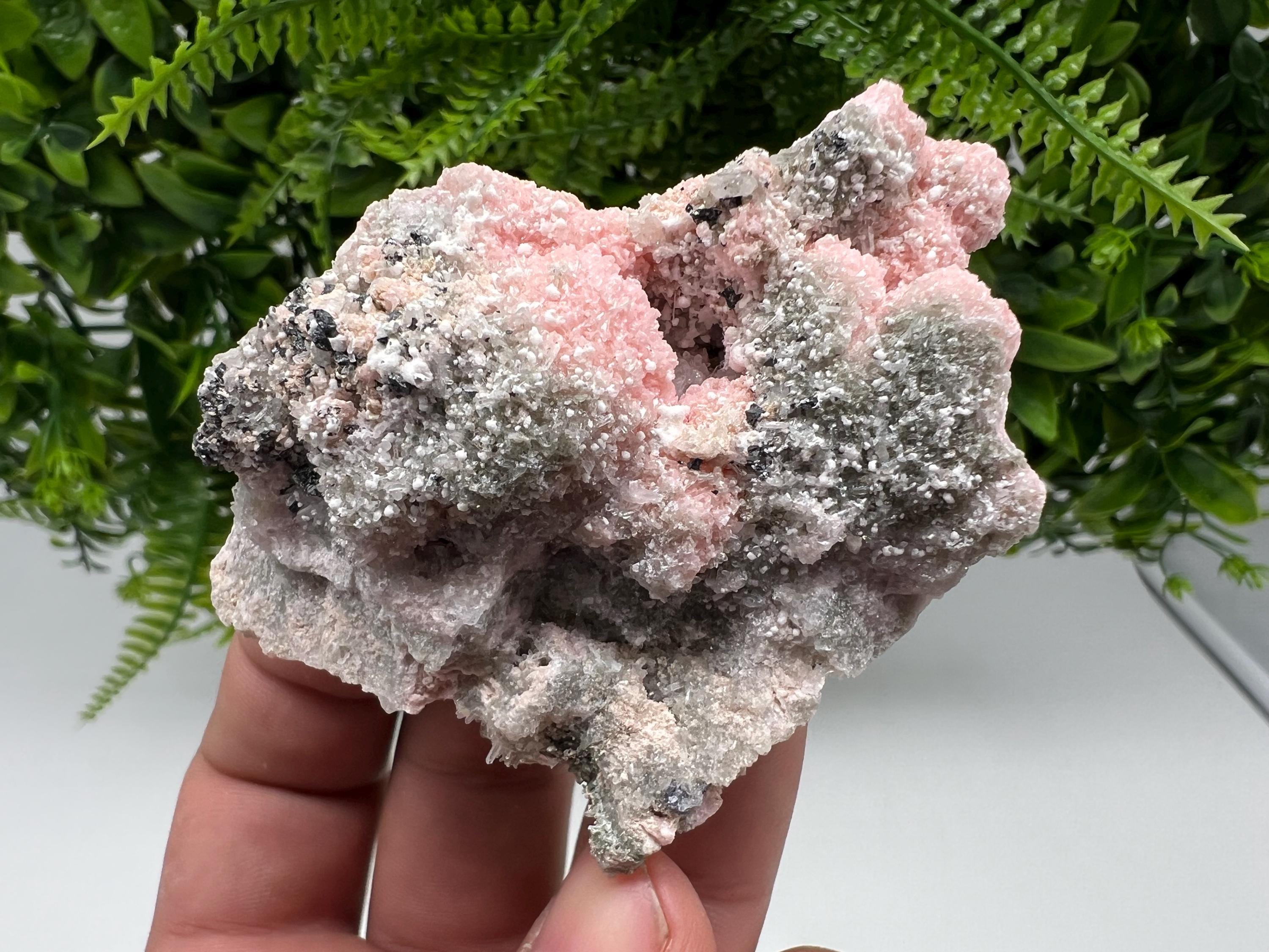 RARE Rhodochrosite with Calcite: Starnica Mine, Bulgaria