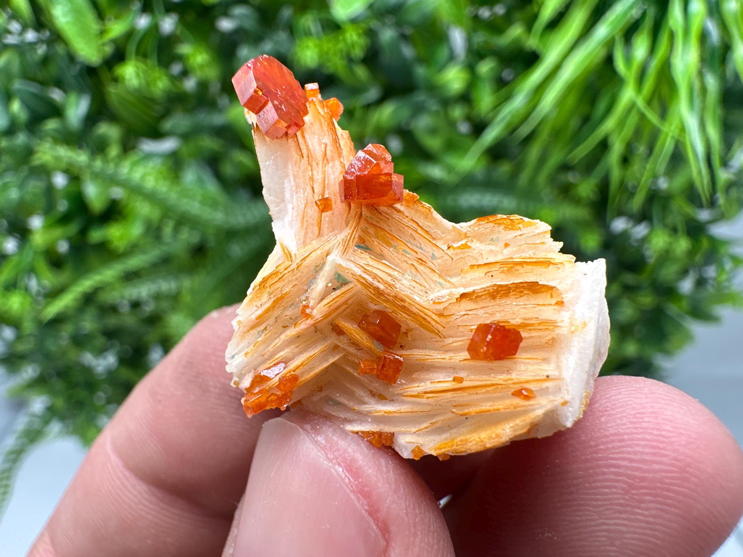 Red Vanadinite on Barite from Marocco,crystal minerals Speciment cluster Vanadinite crystal Vanadinite Geology Vanadinite cluster minerals