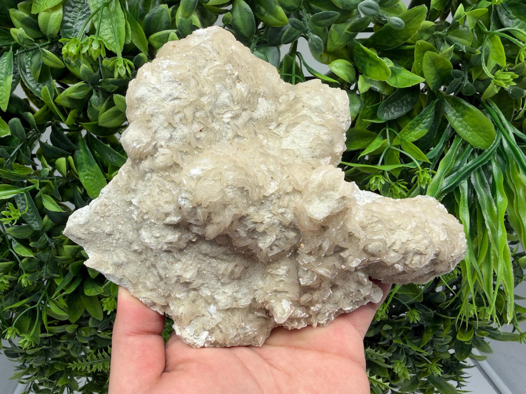 Mangano Calcite with Chlorite, Borieva Mine, Bulgaria