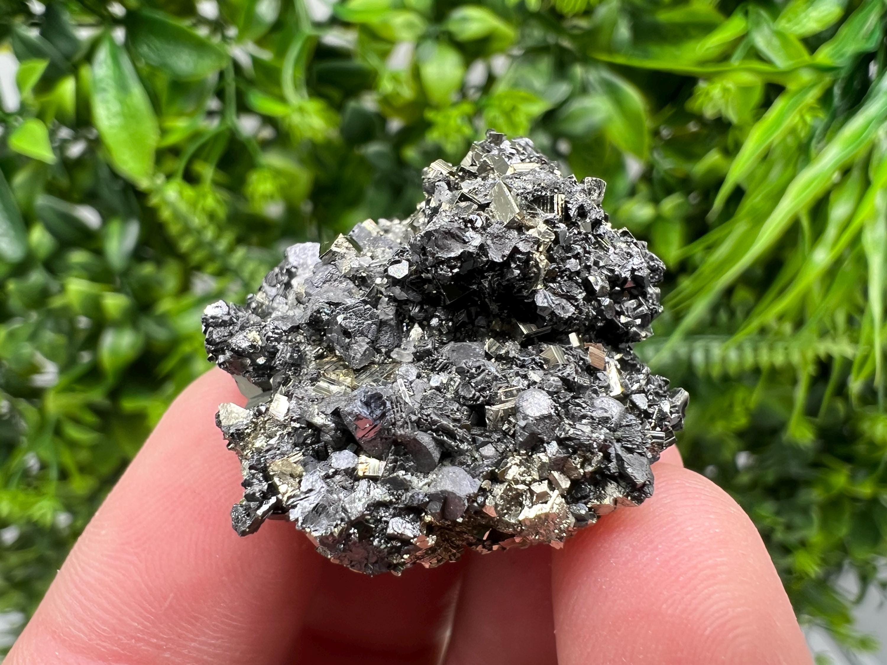 Pyrite Galena Sphalerite Quartz Specimen: Borieva Mine, Bulgaria