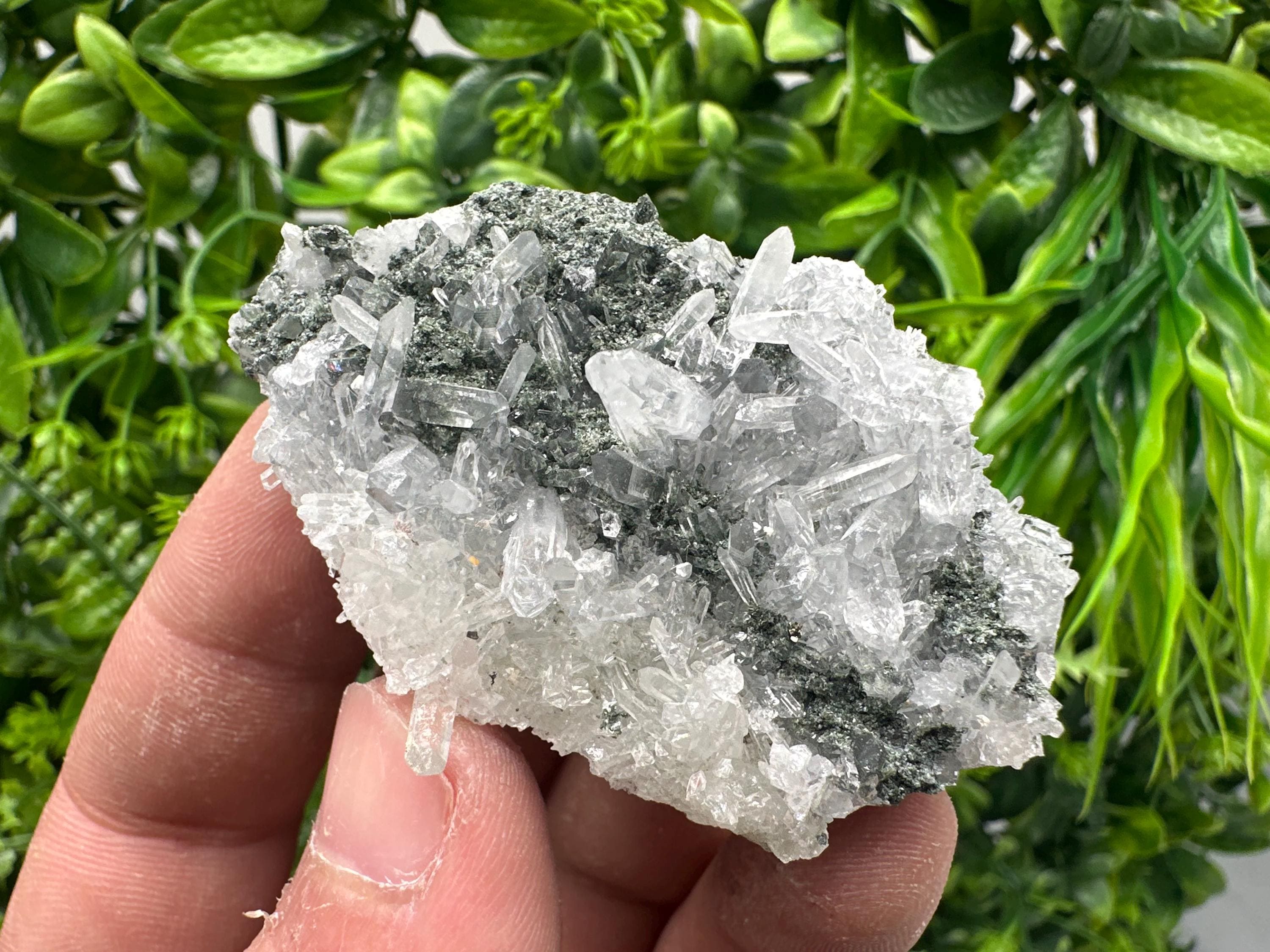 Transparent Quartz on Chlorite Matrix, Borieva Mine Mineral Specimen