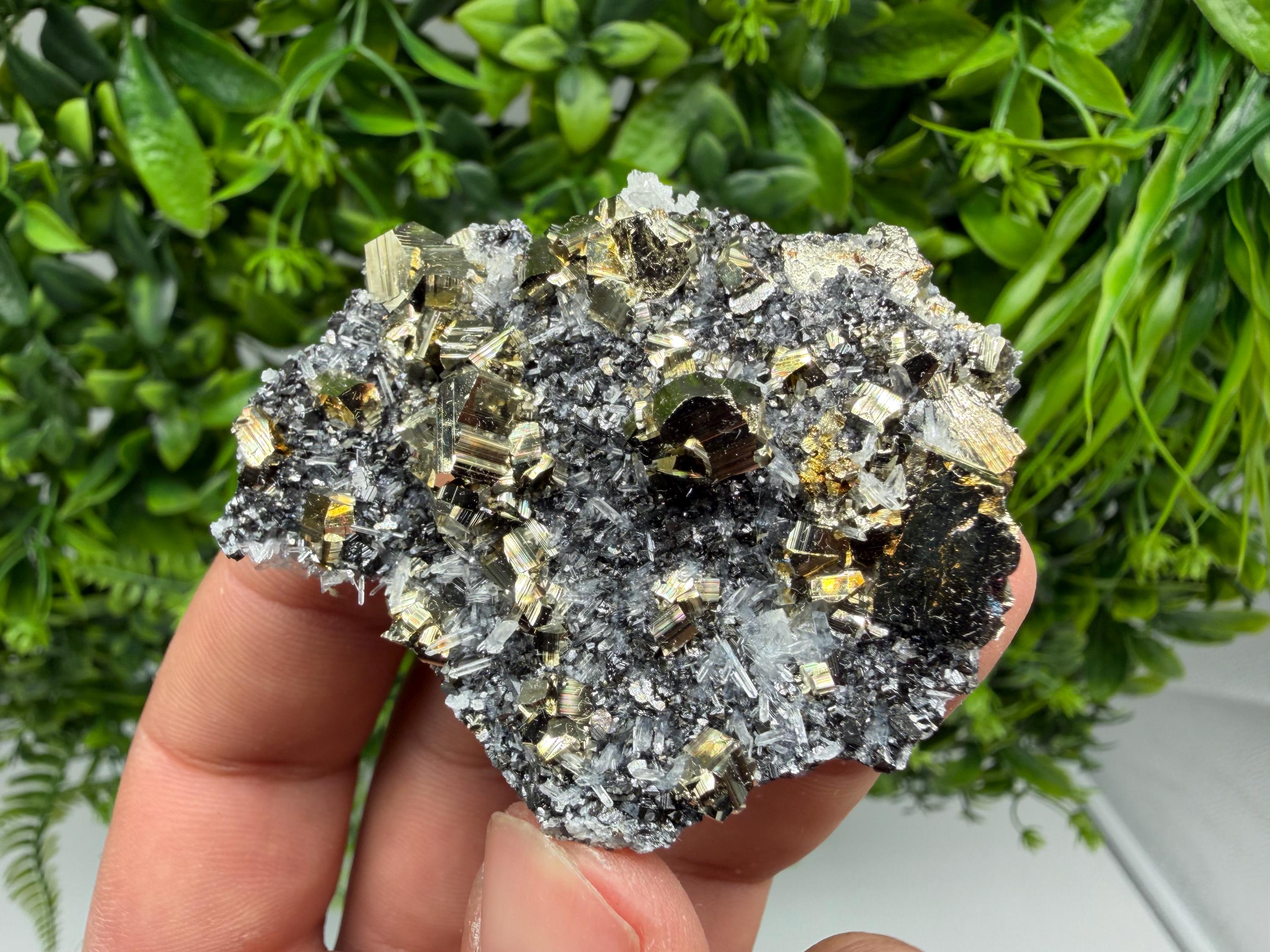 Pyrite Sphalerite Quartz  Mineral Specimen, Krushev dol Mine