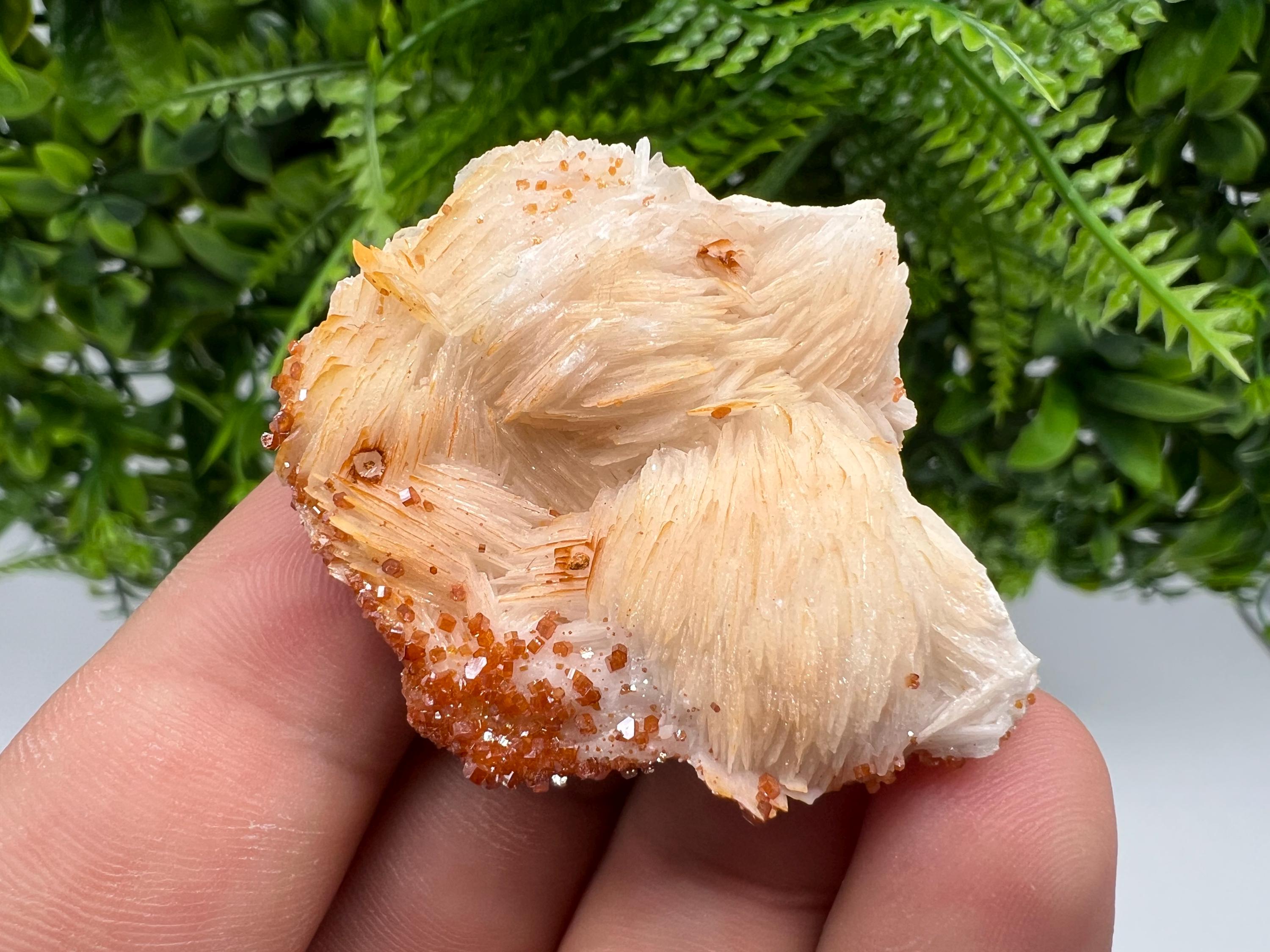 Red Vanadinite on Barite from Marocco,crystal minerals Speciment cluster Vanadinite crystal Vanadinite Geology Vanadinite cluster minerals