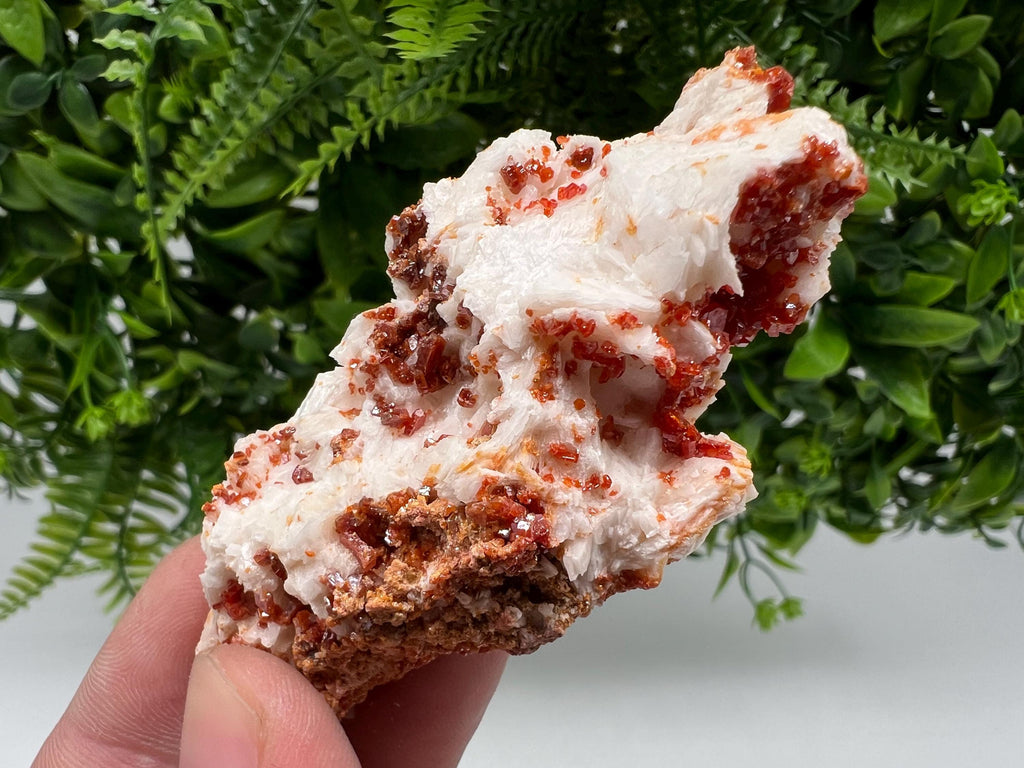 Wonderful Barite whit Vanadinite,Marocco,crystal minerals Speciment cluster Vanadinite crystal Vanadinite Geology Vanadinite cluster mineral