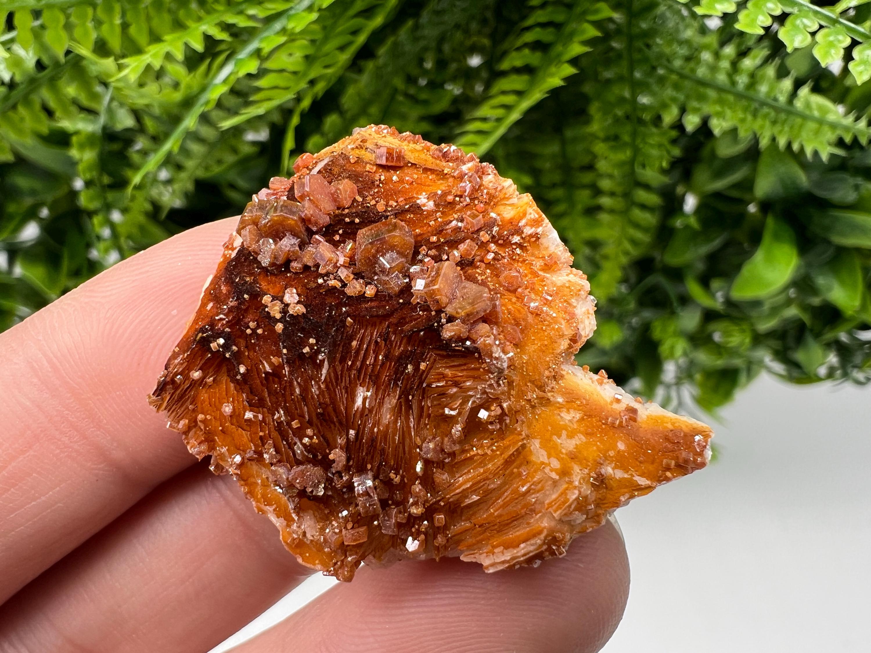 Red Vanadinite on Barite, Morocco Mineral Specimen