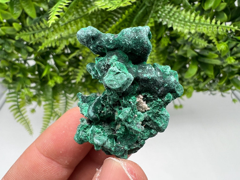 Malachite Crystal from Congo,Minerals,Crystals from Congo,Green Malachite, Malachite,Natural Malachite,Malachite Stone,Chakra, Specimens