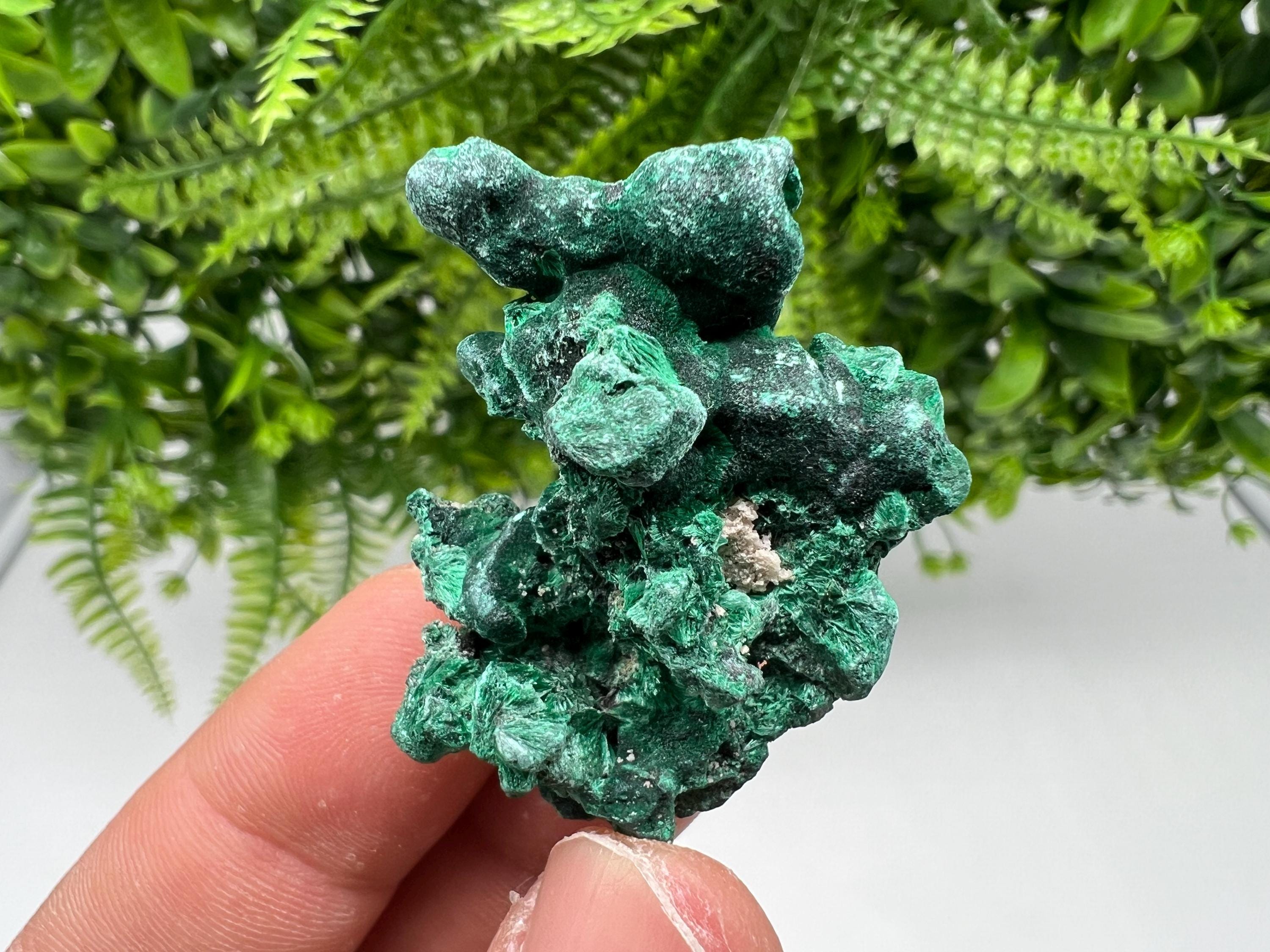 Malachite Crystal from Congo,Minerals,Crystals from Congo,Green Malachite, Malachite,Natural Malachite,Malachite Stone,Chakra, Specimens