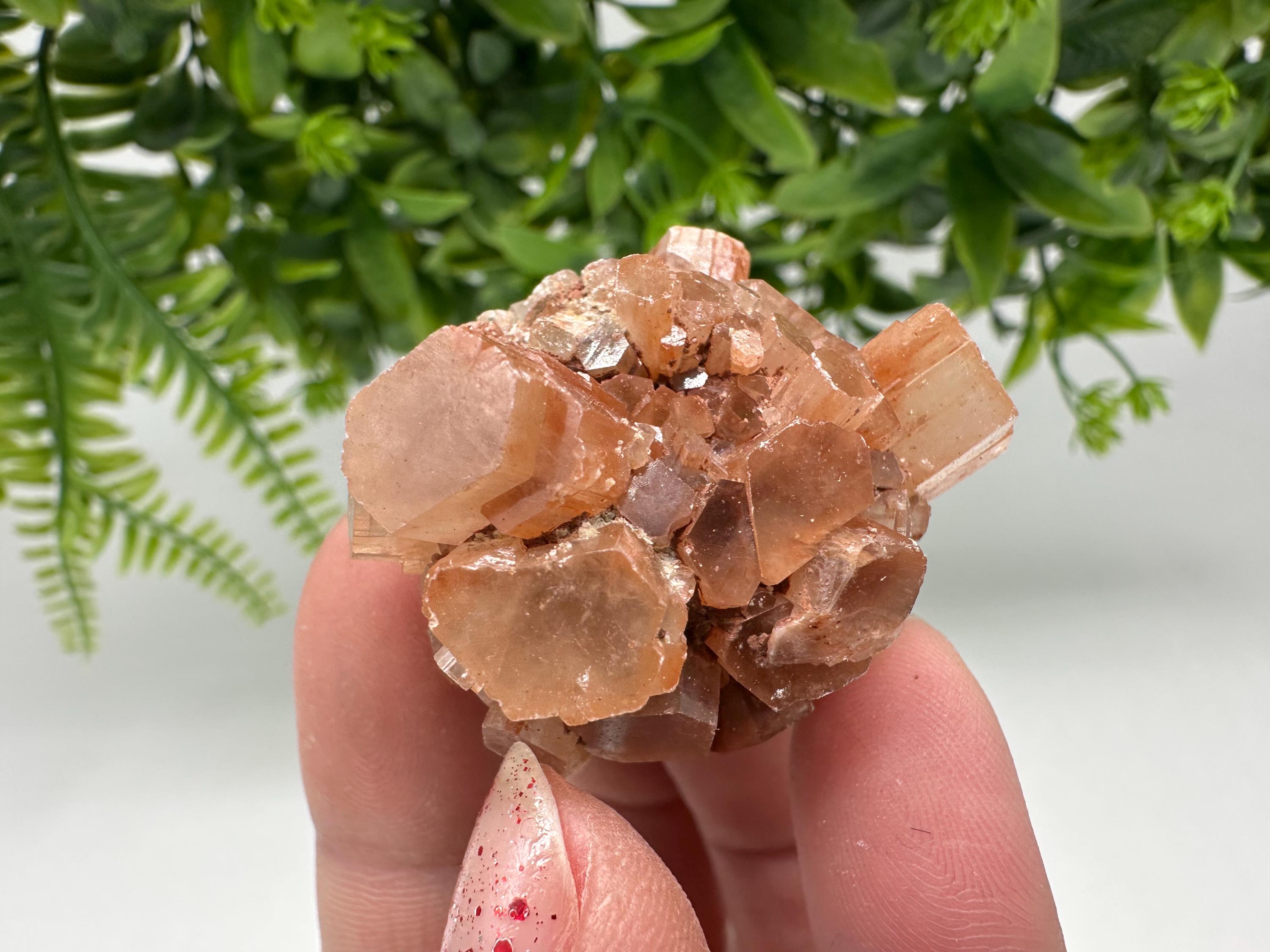 Aragonite Sputnik Cluster: Raw Moroccan Crystal Stone, Home Decor