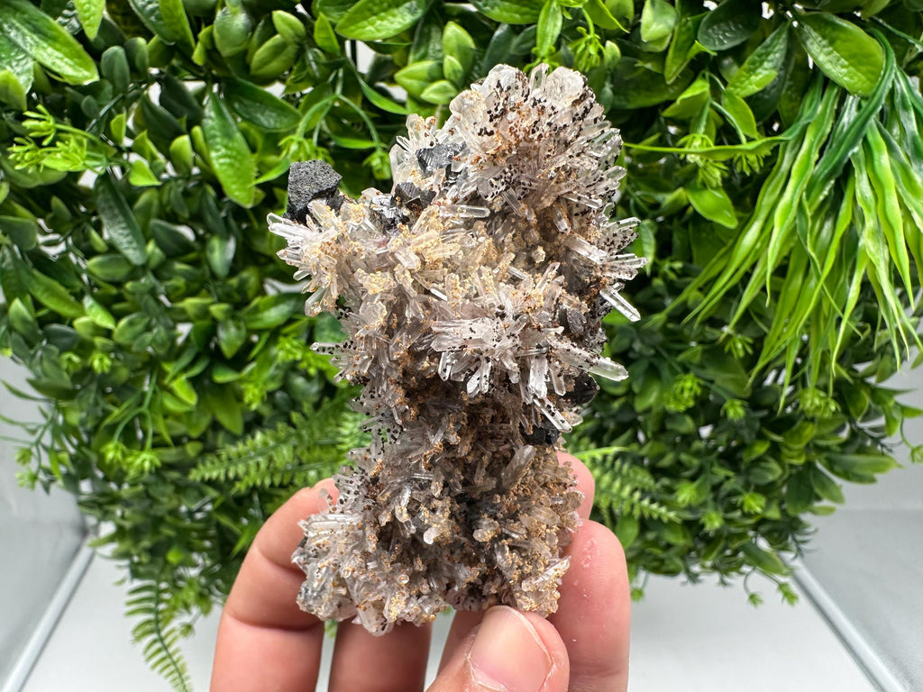 Wonderful Sphalerite Chalcopyrite on  Quartz whit Hematite feom 9 th September mine,Bulgaria,natural,collection mineral specimen,gift