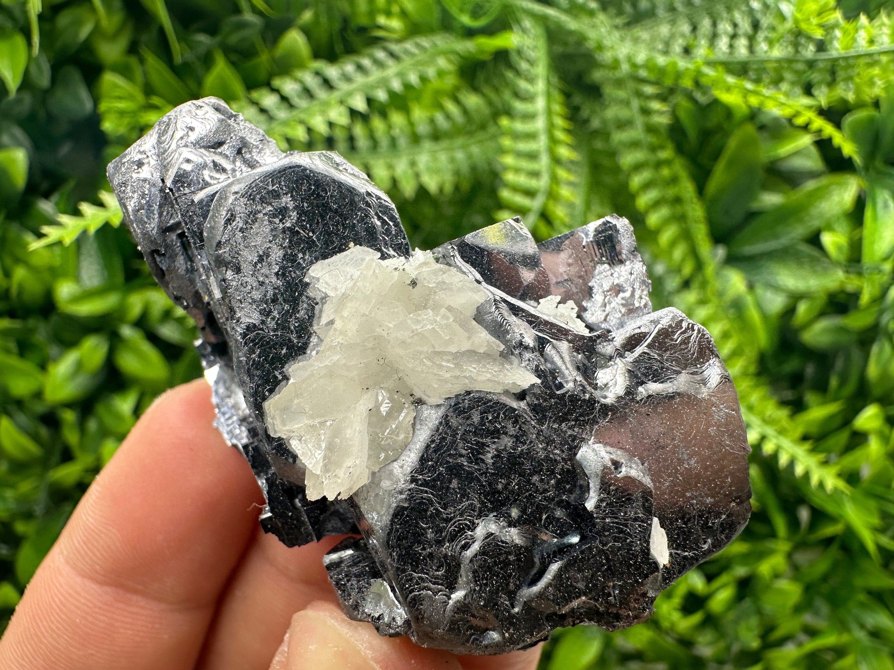 Galena on Sphalerite & Quartz, Bulgaria Mineral Specimen