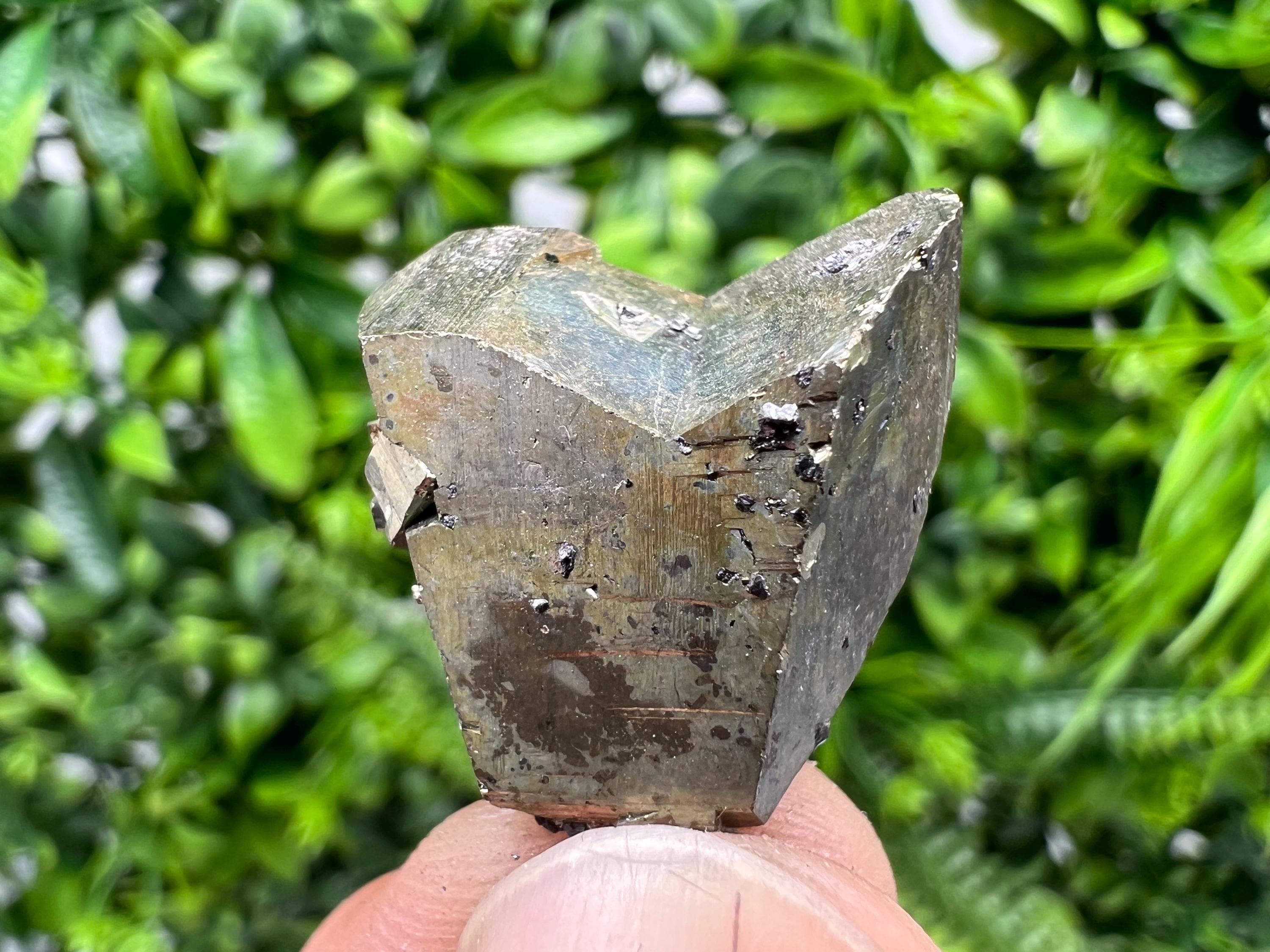 Rare Pyrite Crystal Cluster, Borieva Mine, Bulgaria