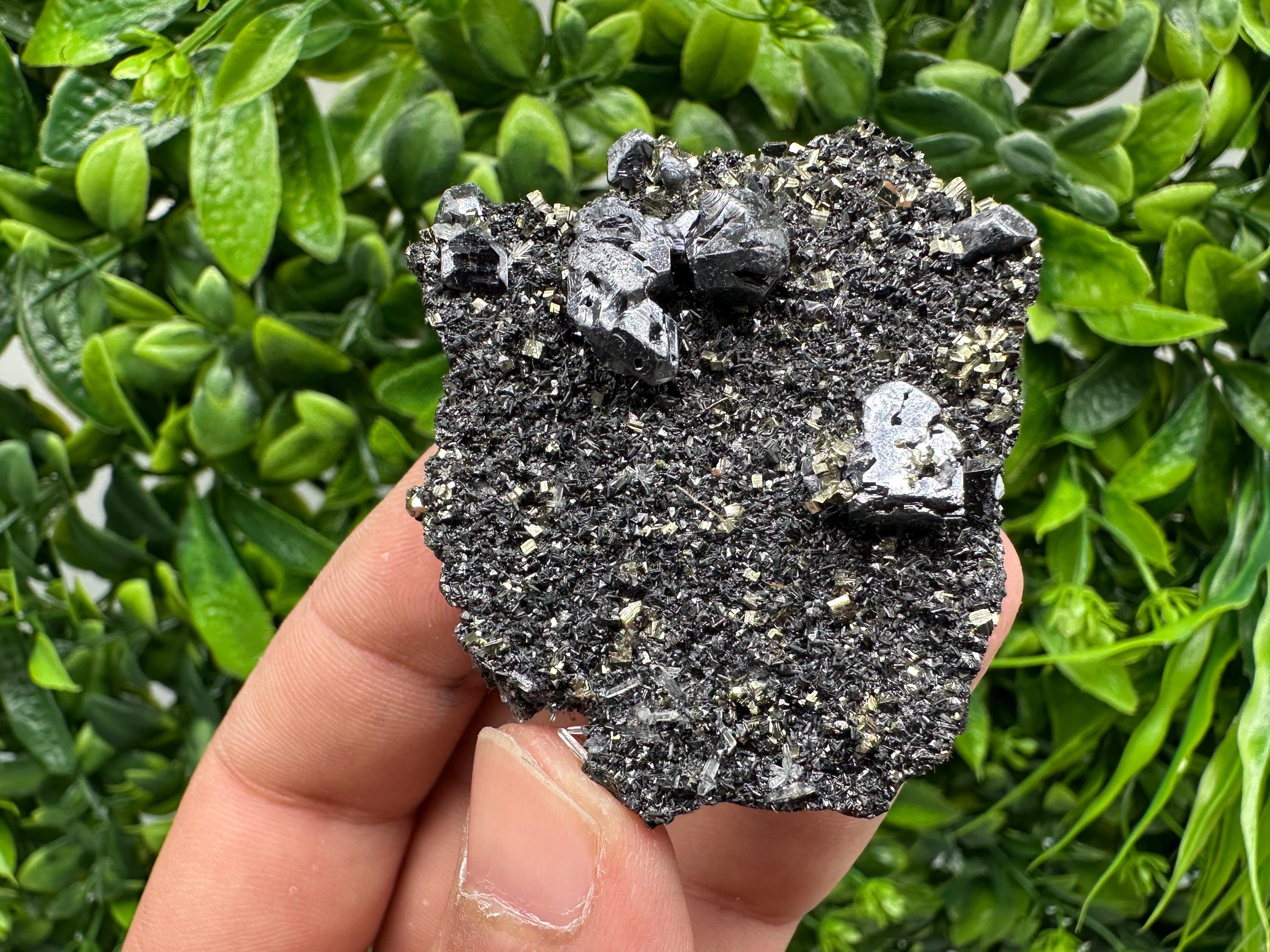 Galena Sphalerite Pyrite Crystal, Borieva Mine, Bulgaria