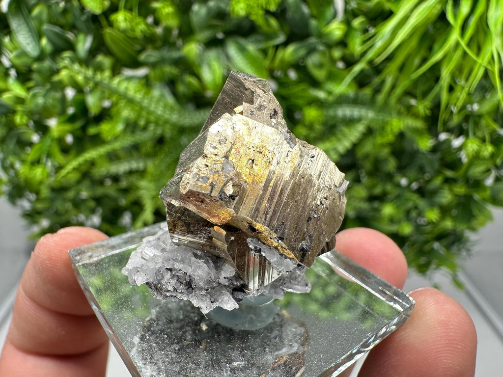 Rainbow Pyrite Hematite Cluster: Borieva Mine, Bulgaria