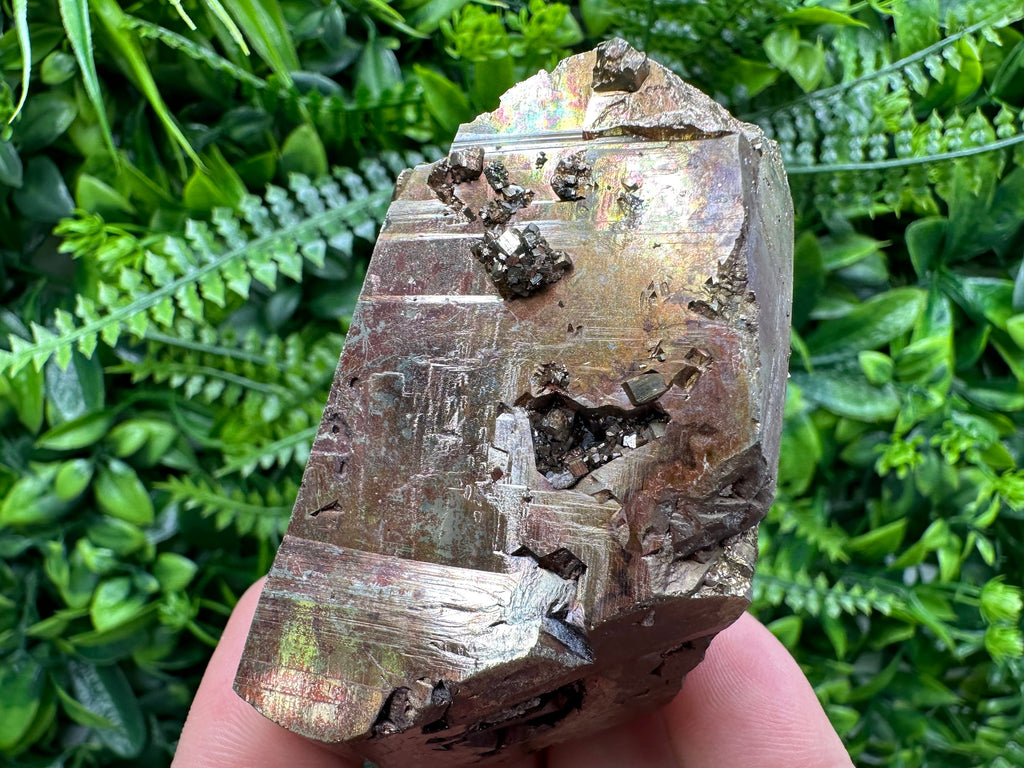 Red Hematite Pyrite Cluster, Borieva Mine, Bulgaria