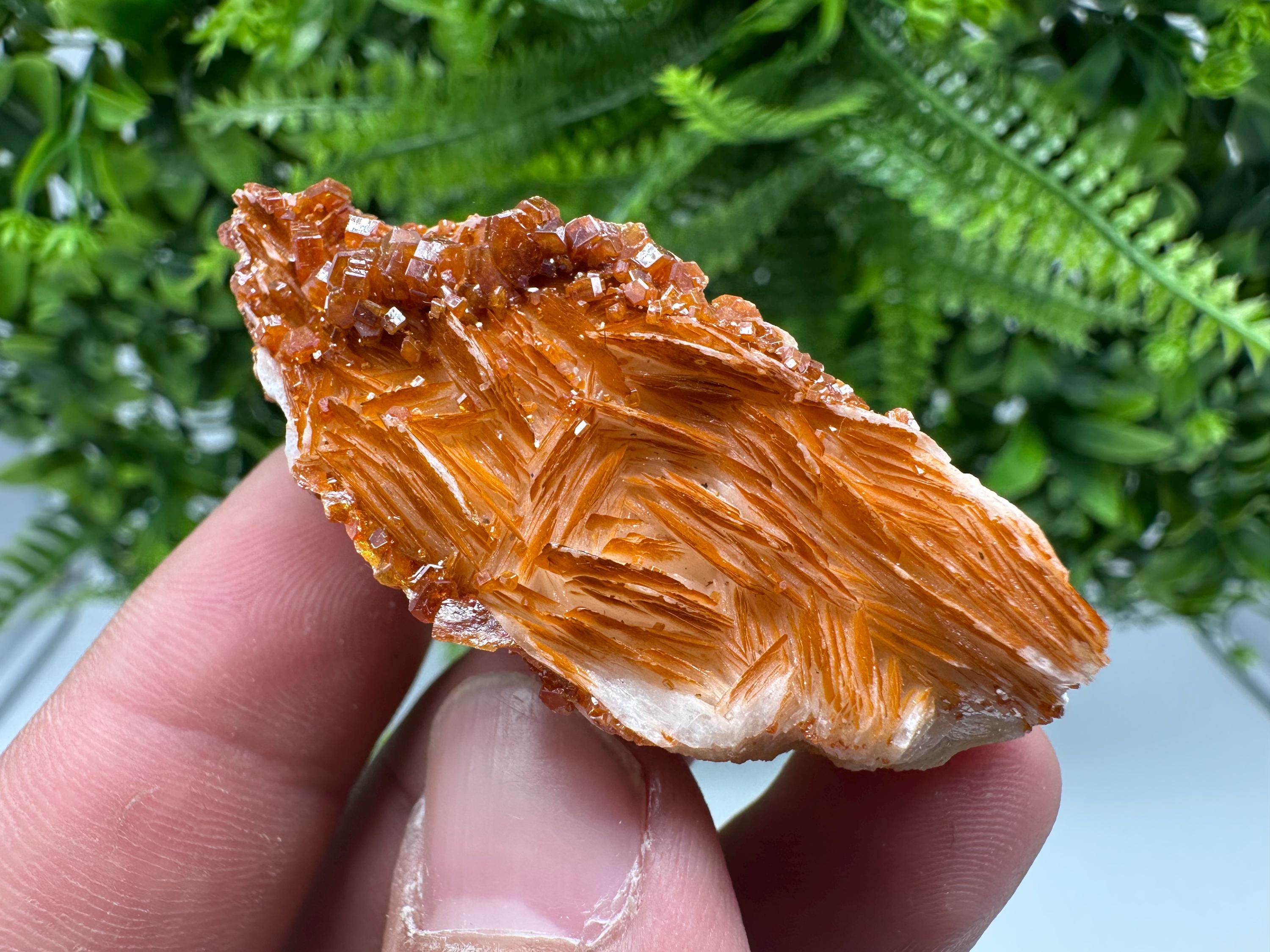 Red Vanadinite on Barite, Morocco Crystal Cluster