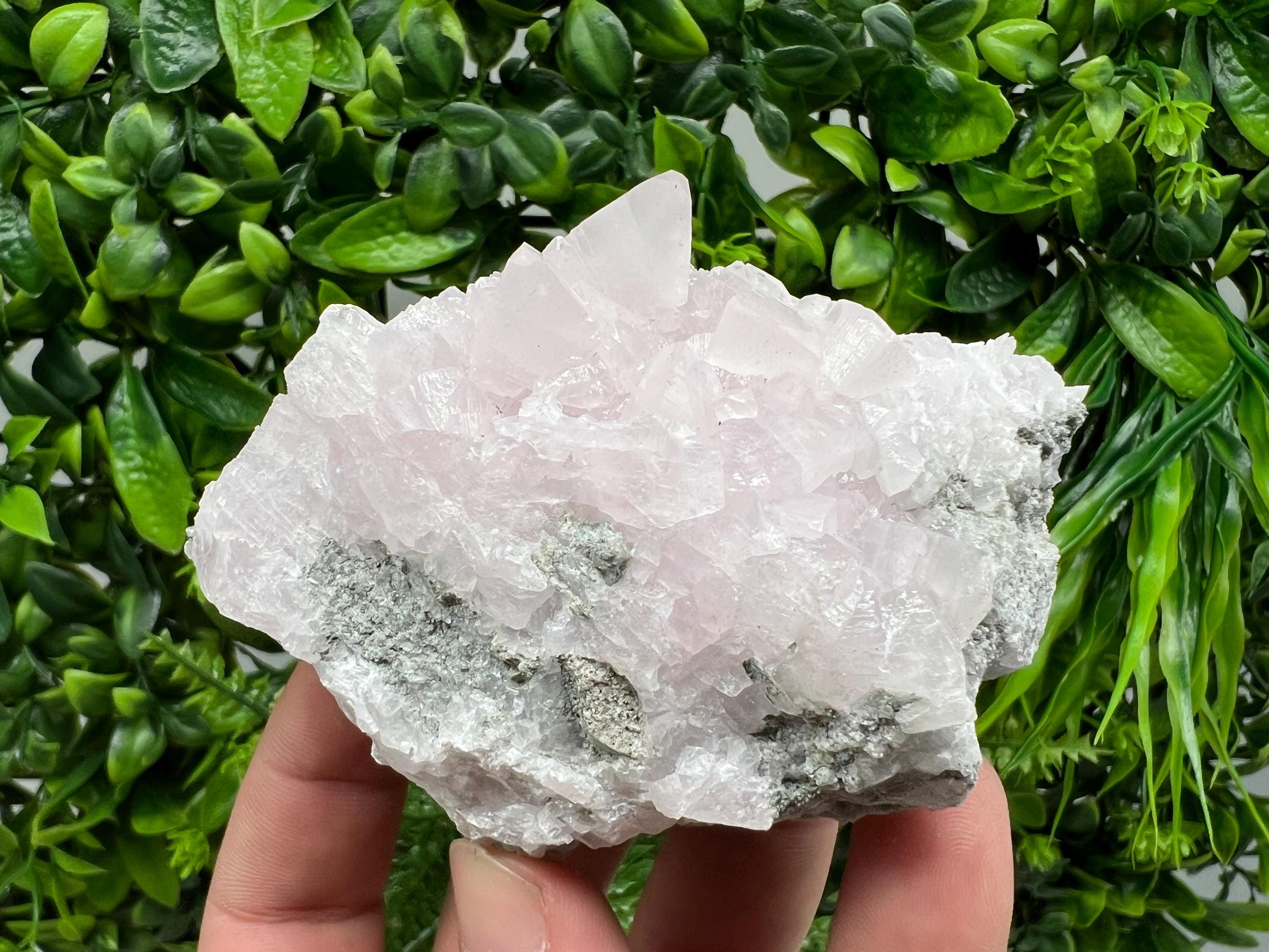 UV Reactive Mangano Calcite Crystal: Androvo Mine, Bulgaria