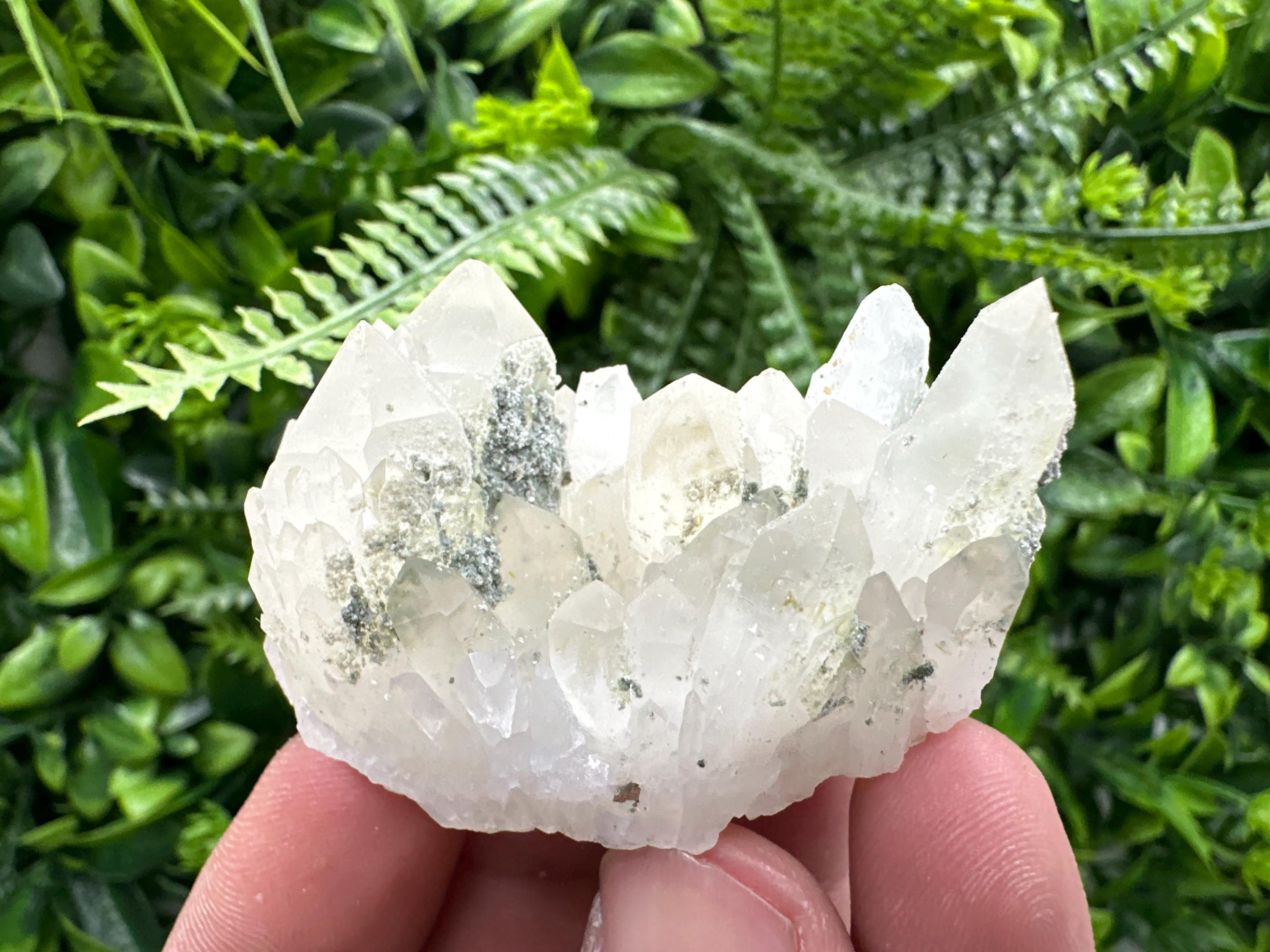 Limonite Quartz with Chlorite Inclusion: Djurcovo Laki Bulgaria Crystal