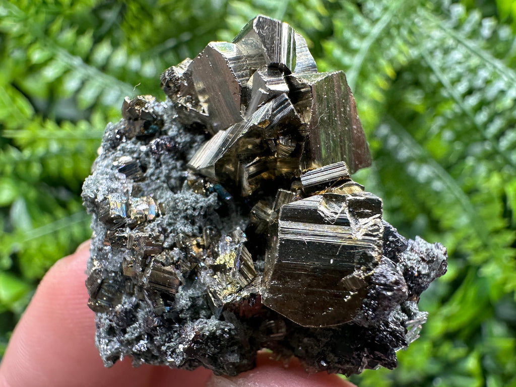 Pyrite on Quartz with Chlorite, Natural Crystal Mineral Specimen