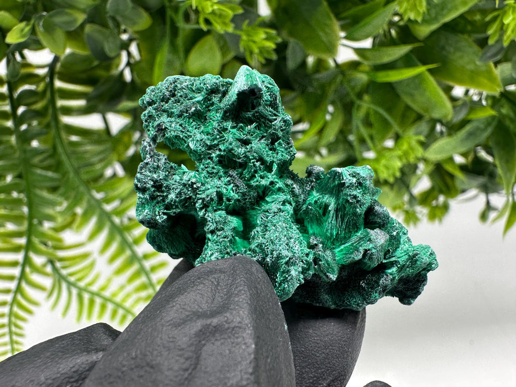 Malachite Crystal from Congo,Minerals,Crystals from Congo,Green Malachite, Malachite,Natural Malachite,Malachite Stone,Chakra, Specimens