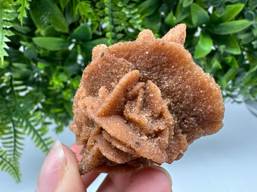 Natural Desert Rose Crystal - Root Chakra Healing Selenite
