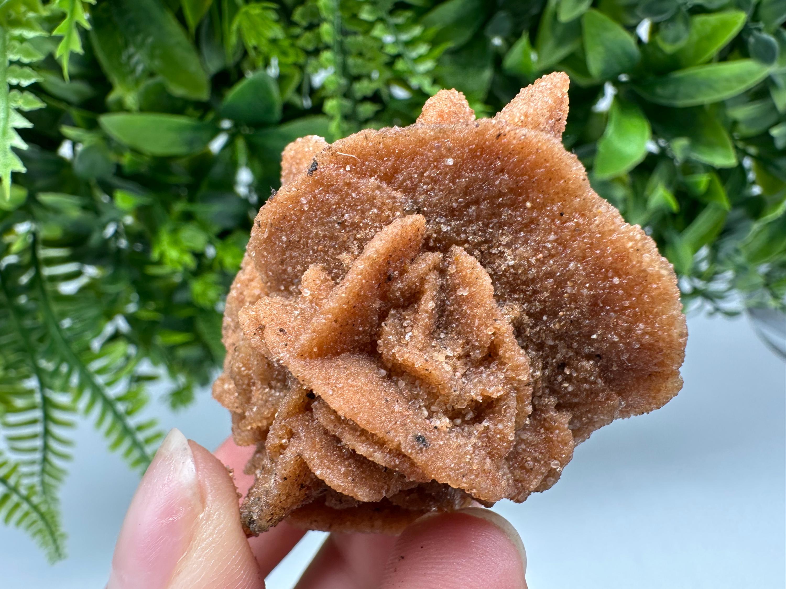 Natural Desert Rose Crystal - Root Chakra Healing Selenite