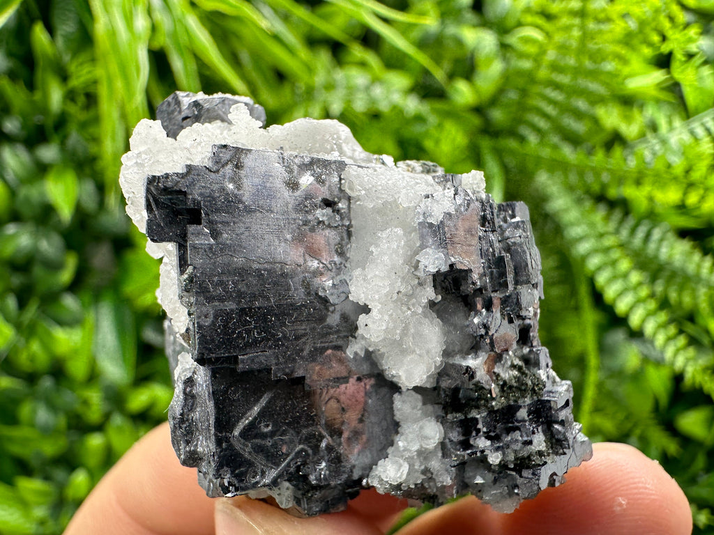 Galena with Calcite: Natural Mineral Specimen, Borieva Mine, Bulgaria