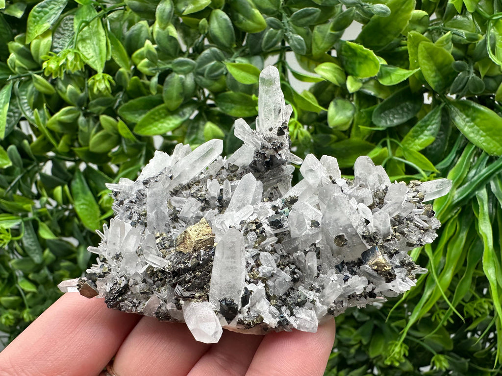 Wonderful Sphalerite Chalcopyrite on  Quartz whit Galena feom 9 th September mine,Bulgaria,natural,collection mineral specimen,gift