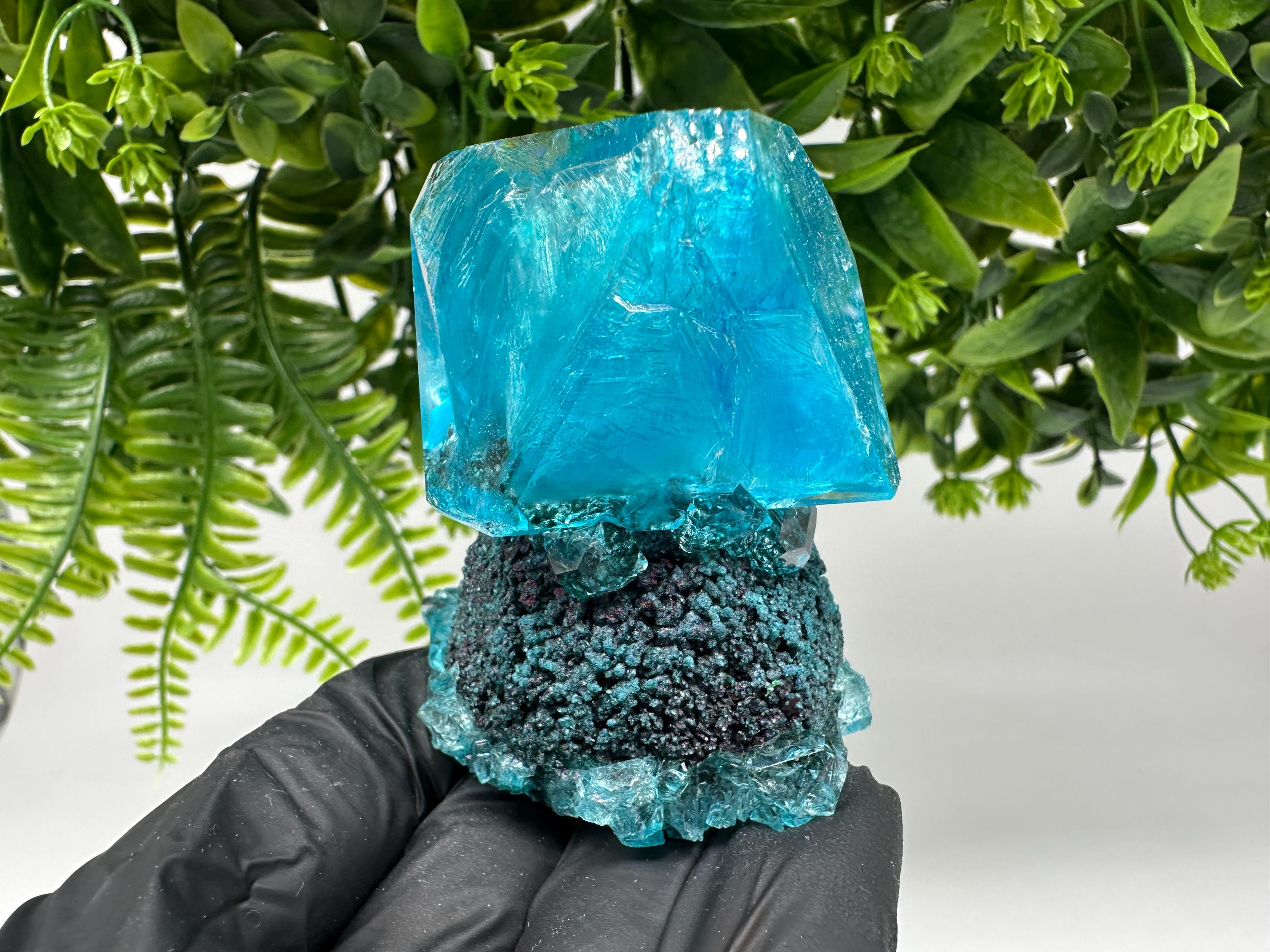 Exceptional Turquoise ALUNITE Aqua Crystal on Matrix UV Active, lab minerals
