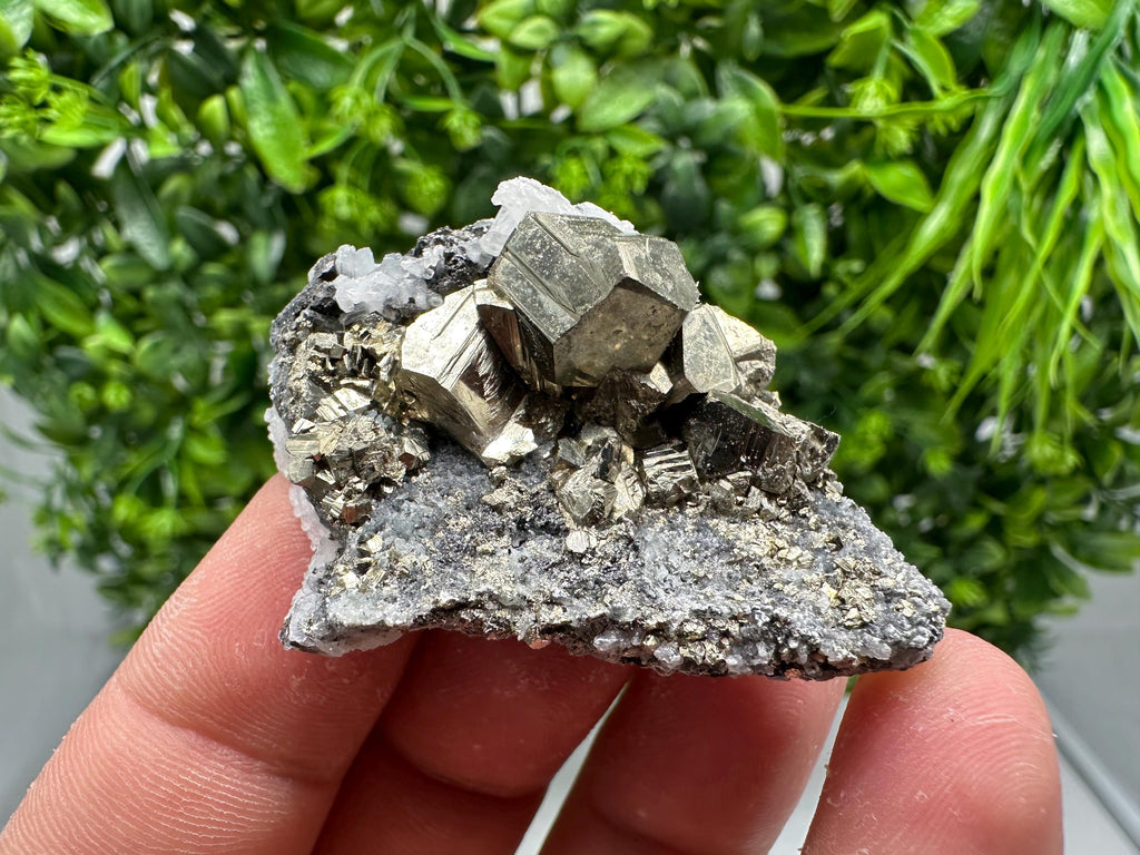 Golden Pyrite,Sphalerite from 9th September mine,Madan,Bulgaria,natural,collectible mineral specimen,home decor crystal,Pyrite cluster,