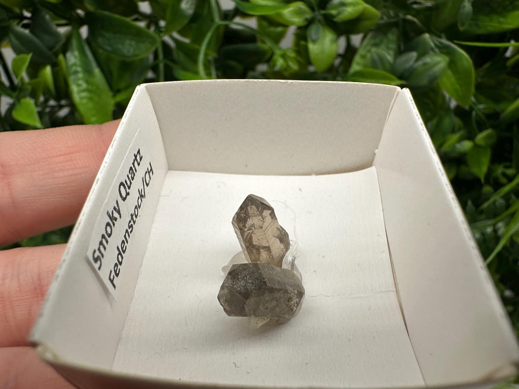 Rare Fedenstock Smoky Quartz Mineral Specimen (17 MM)