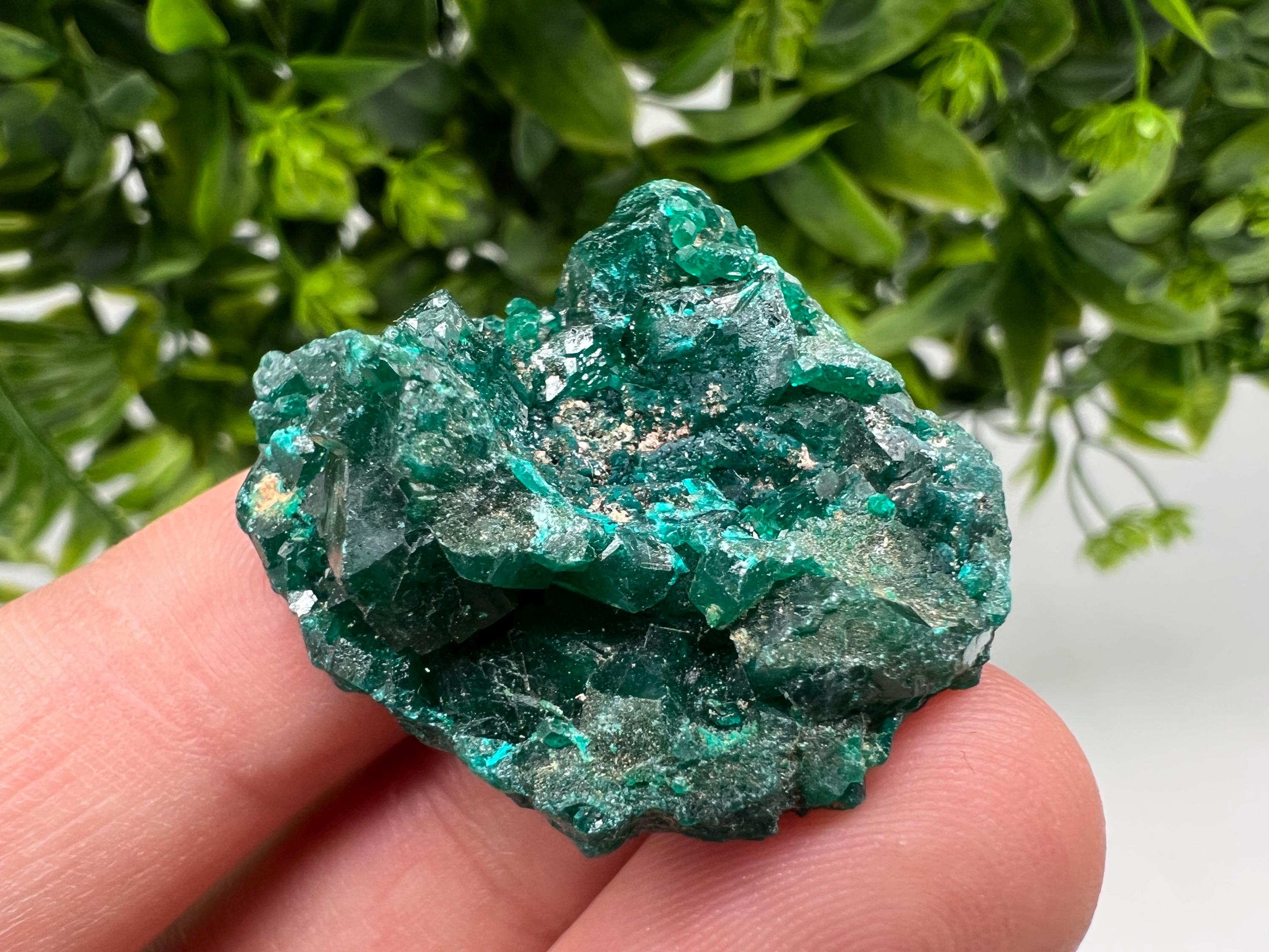 Stunning Green Dioptase from Sanda Hills,Mindouli,Pool Department,Mindouli District,Congo,green Dioptase,Dioptas Crystal,Dioptase collecting