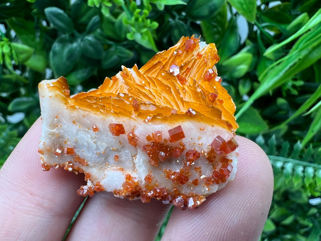 Red Vanadinite on Barite from Marocco,crystal minerals Speciment cluster Vanadinite crystal Vanadinite Geology Vanadinite cluster minerals