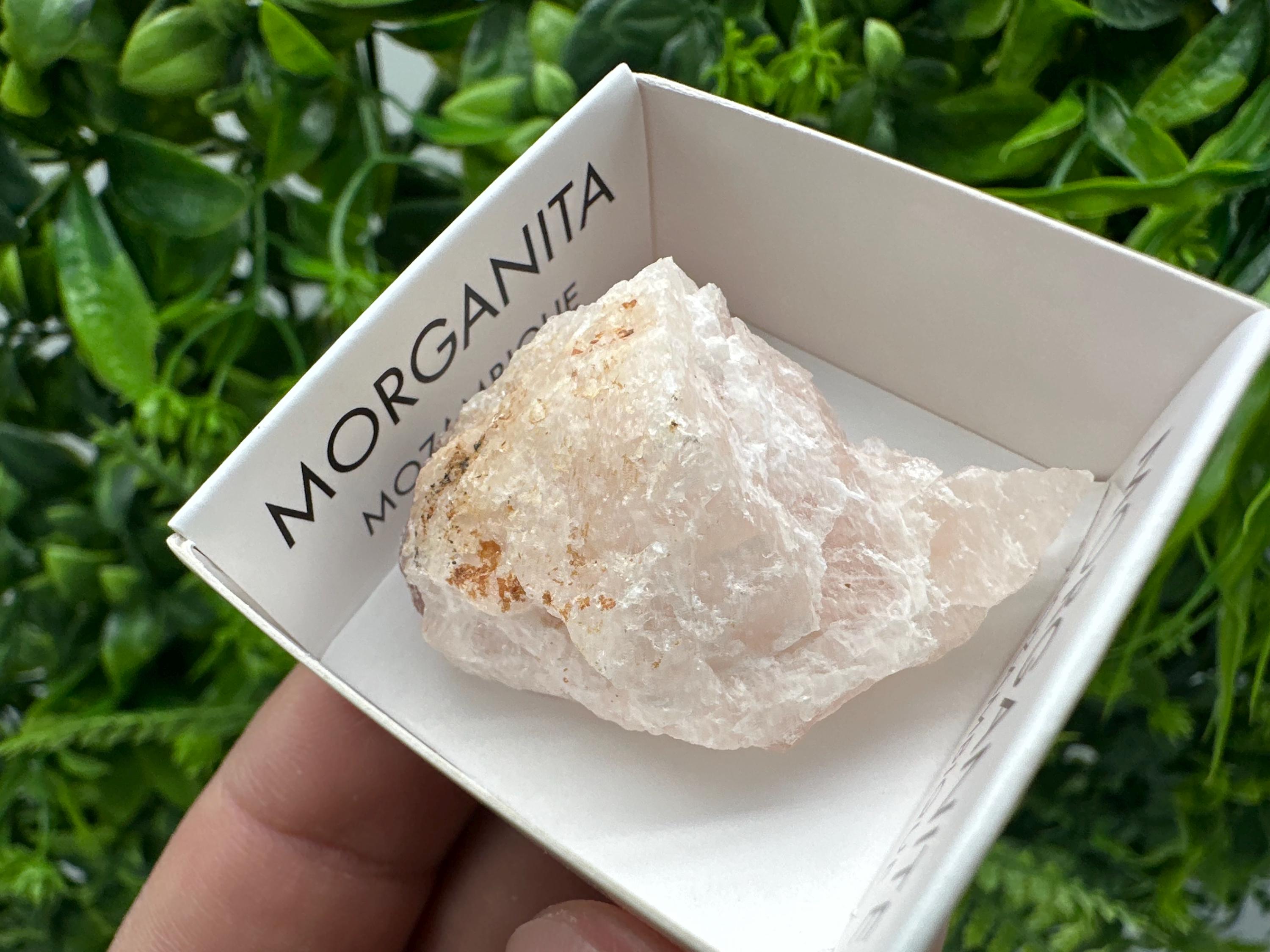 Rare Raw Morganite Specimen: Mozambique Crystal Collection (3/3.5cm)