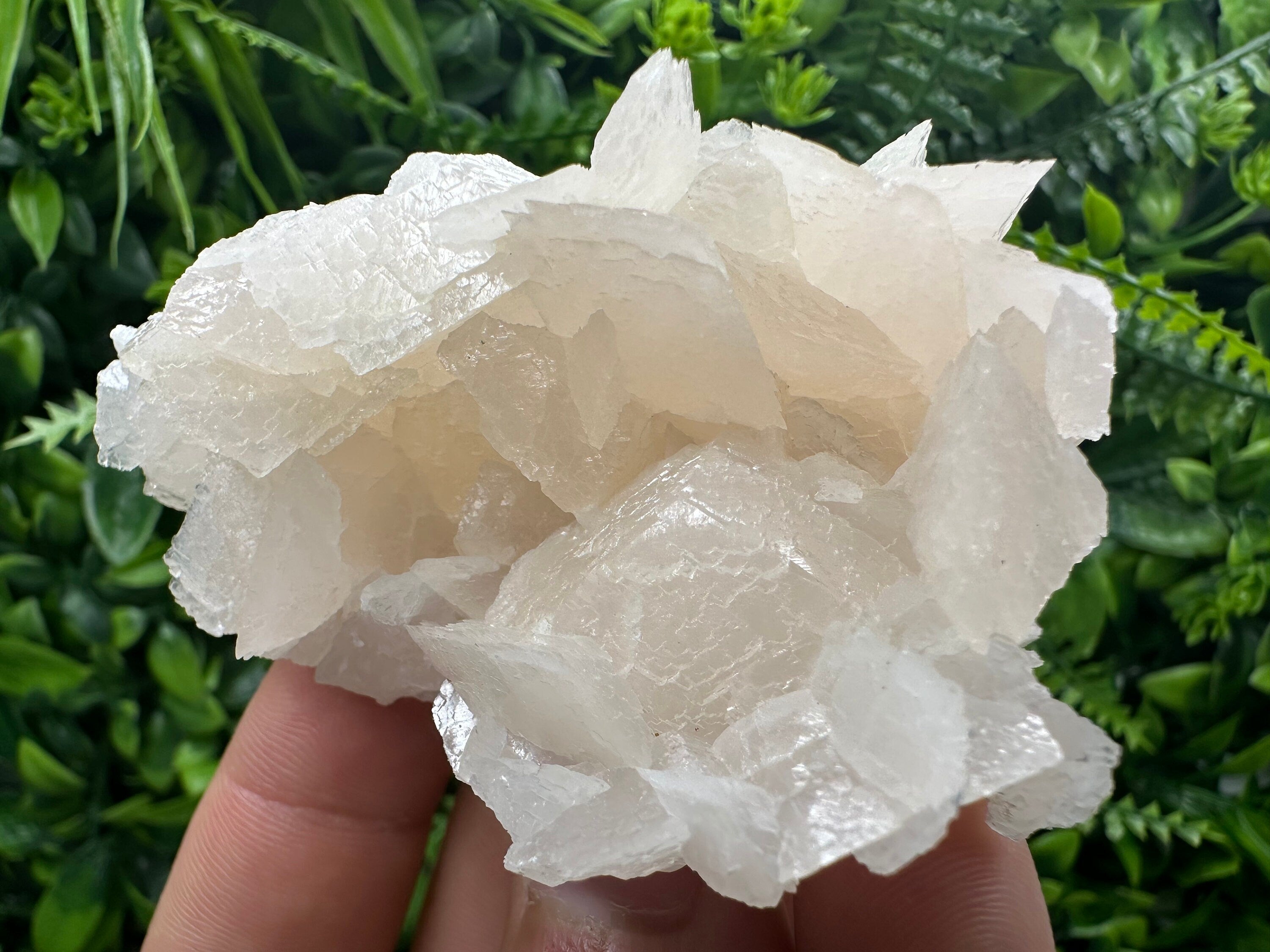 Rare Mangano Calcite Cluster: Borieva Mine, Bulgaria