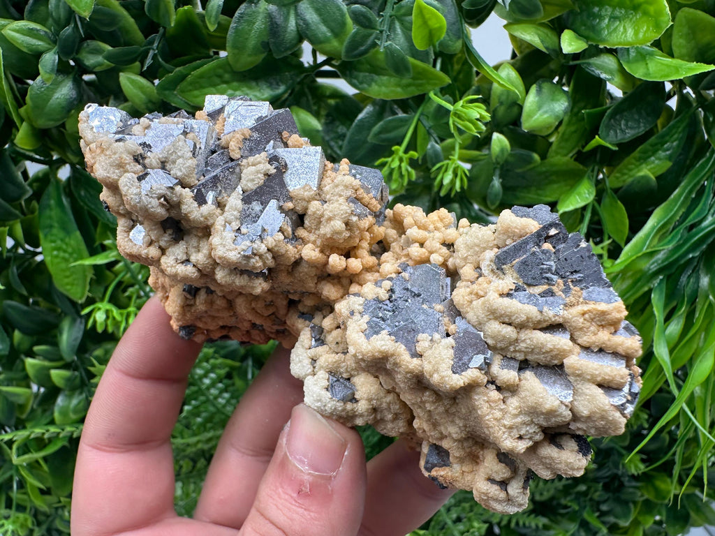 Galena Dolomite Cluster, Krushev dol Bulgaria Mineral Specimen