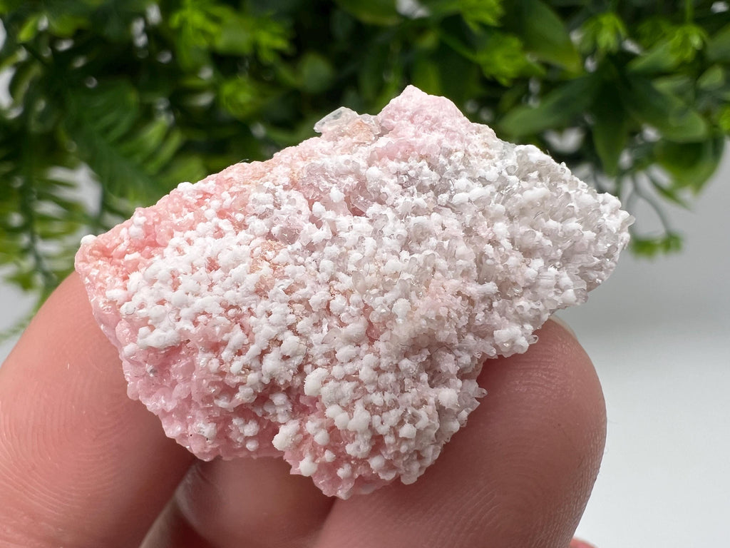 RARE Rhodochrosite whit white Calcite,pink mineral,Starnica Mine,Davidcovo,Bulgaria natural mineral,souvenir crystal,home decor,collectible