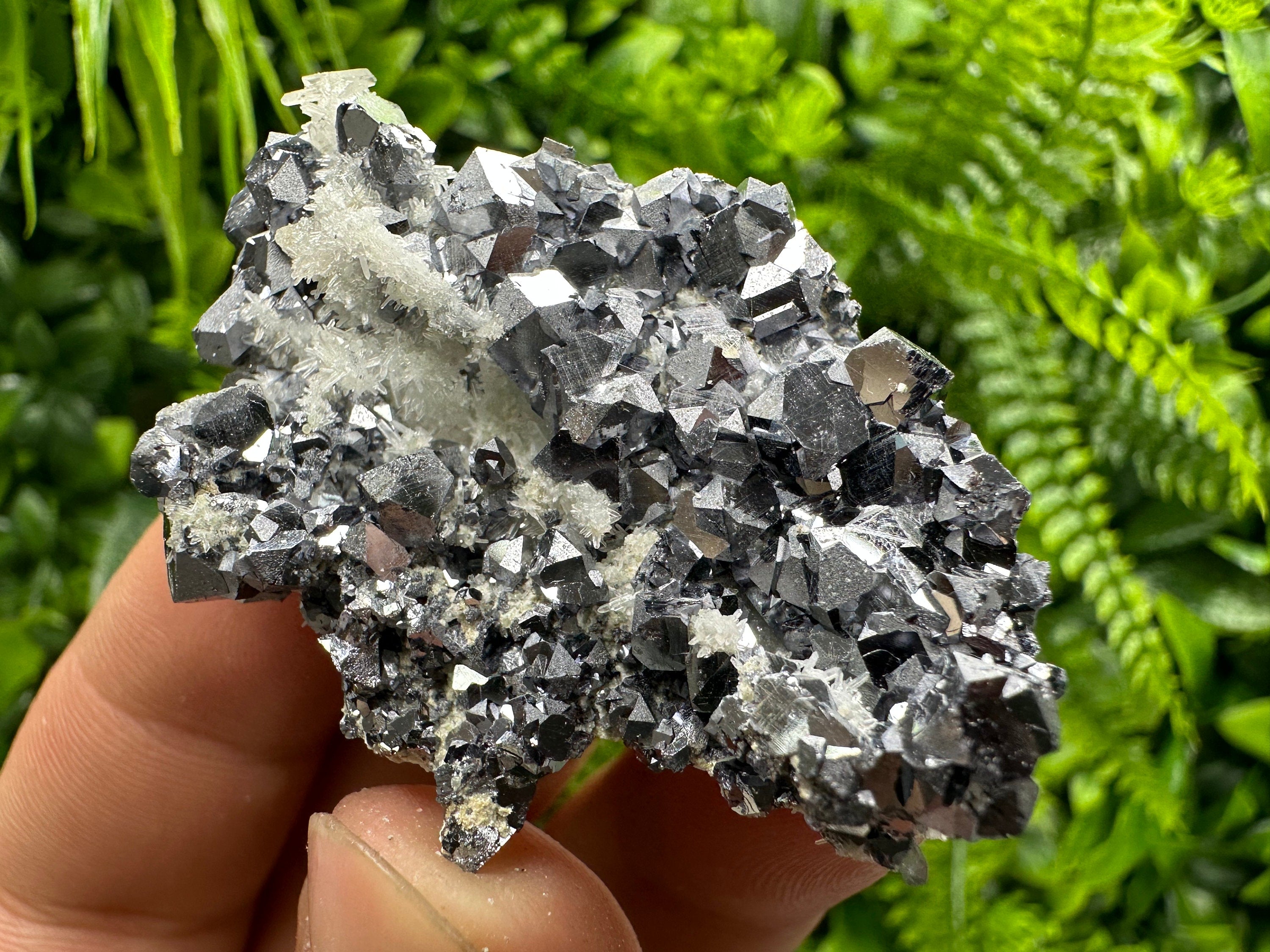 Skeletal Galena on Quartz: Natural Mineral Specimen, Borieva Mine