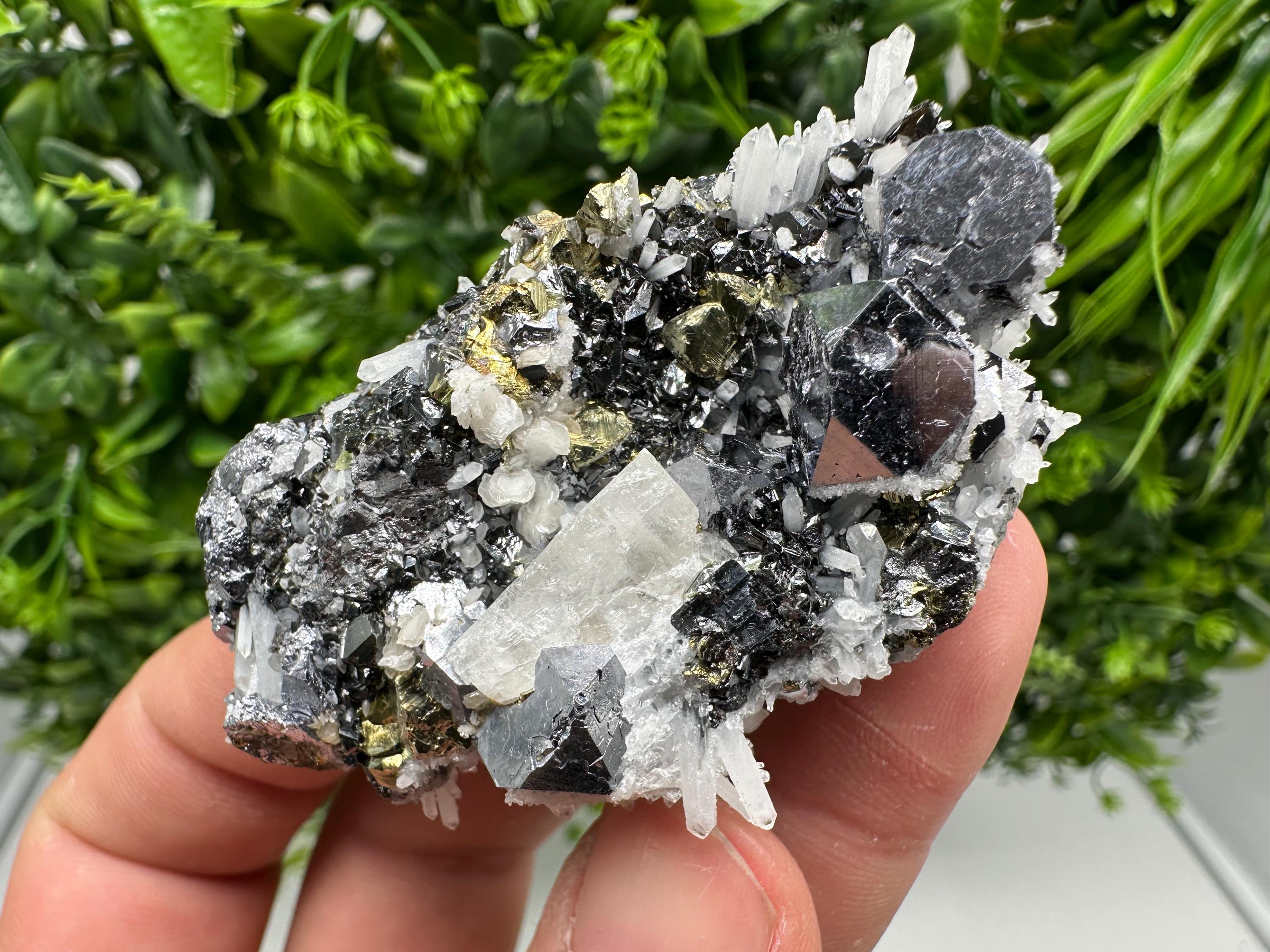 Rare Galena Sphalerite Pyrite Specimen, Krushev dol Mine, Bulgaria