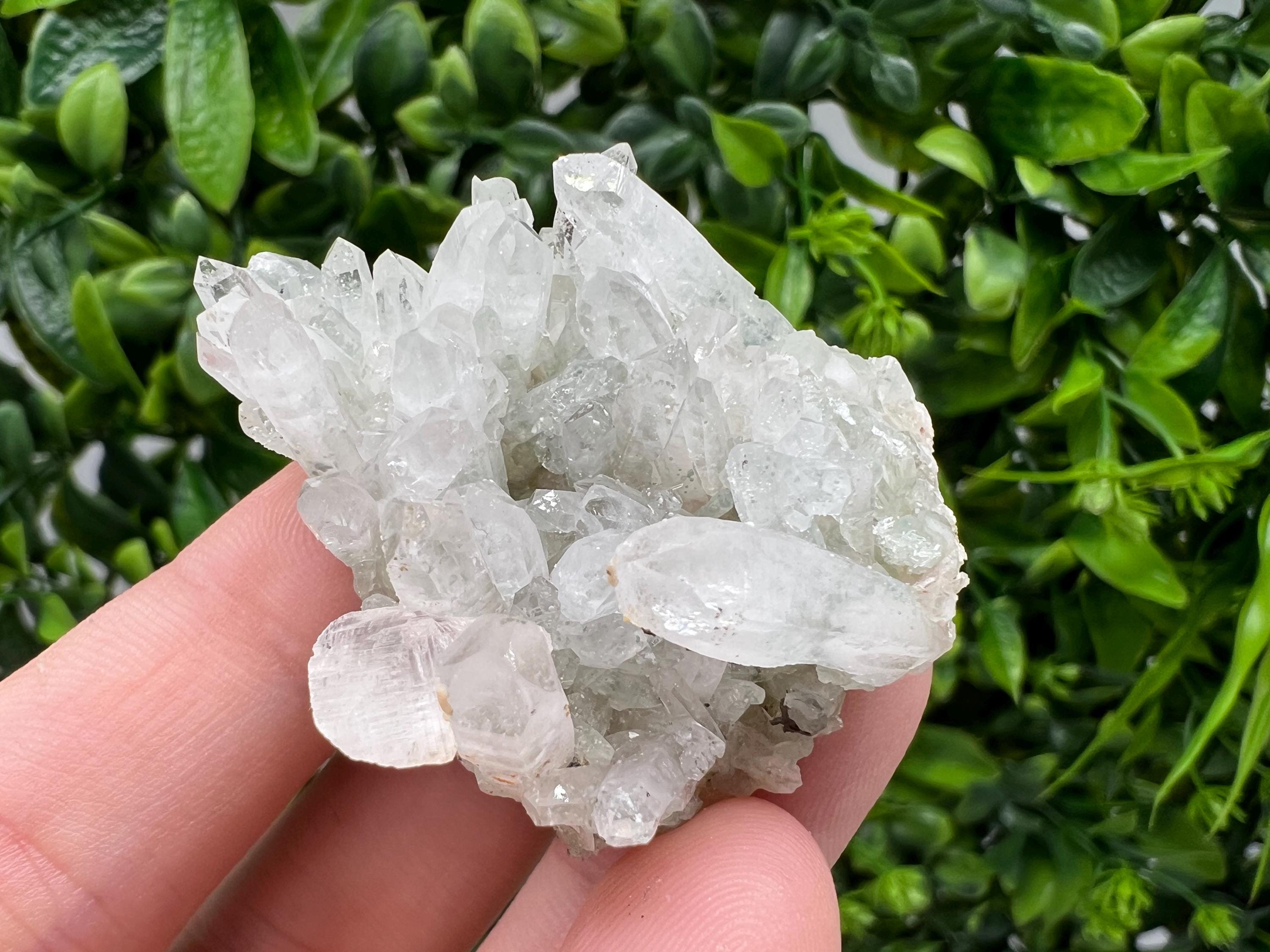 Wonderful Transparent Quartz on Chlorite Matrix,From Borieva mine,Madan,Bulgaria,Quartz,Quartz crystal,mineral specimen,collection quartz