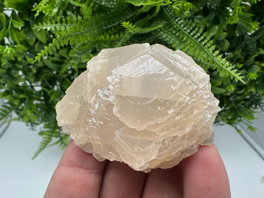 Calcite  from Krushev dol mine,Madan,Bulgaria,pink Calcite,Mangano Calcite,natural,collection mineral specimen,home decor