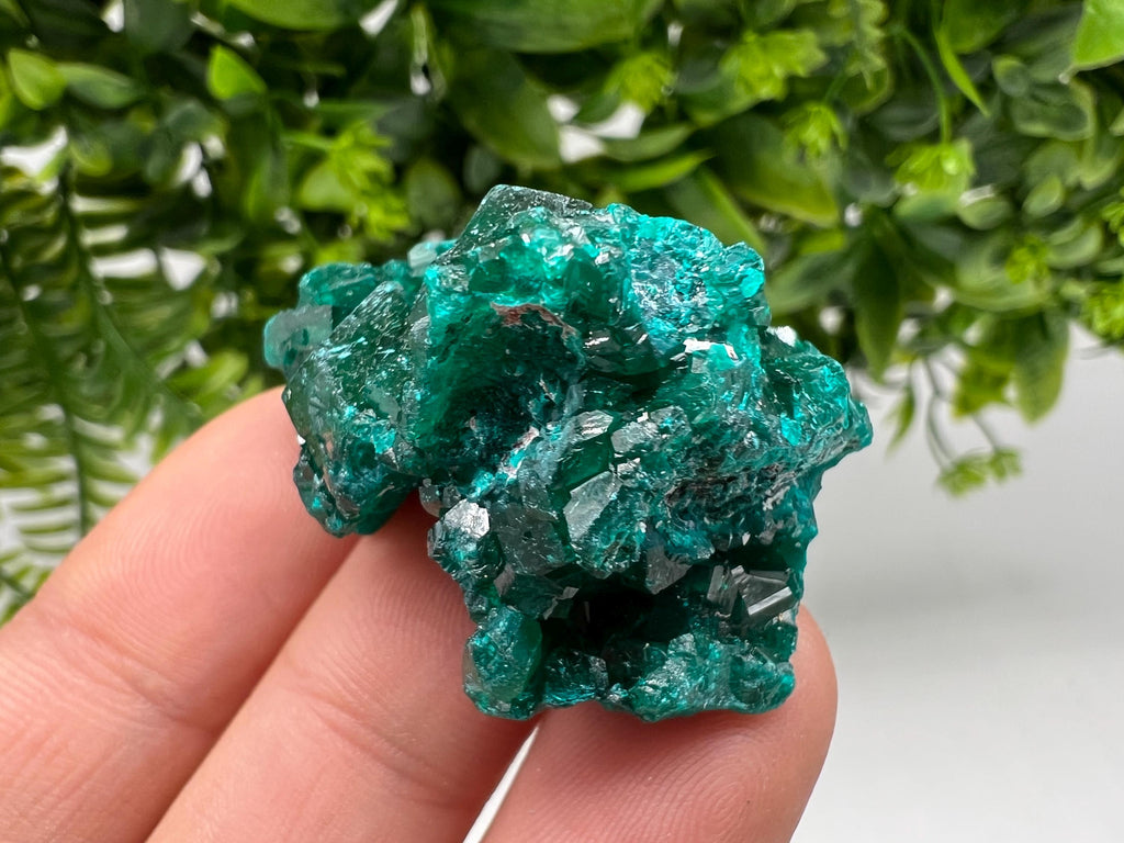Stunning Green Dioptase from Sanda Hills,Mindouli,Pool Department,Mindouli District,Congo,green Dioptase,Dioptas Crystal,Dioptase collecting