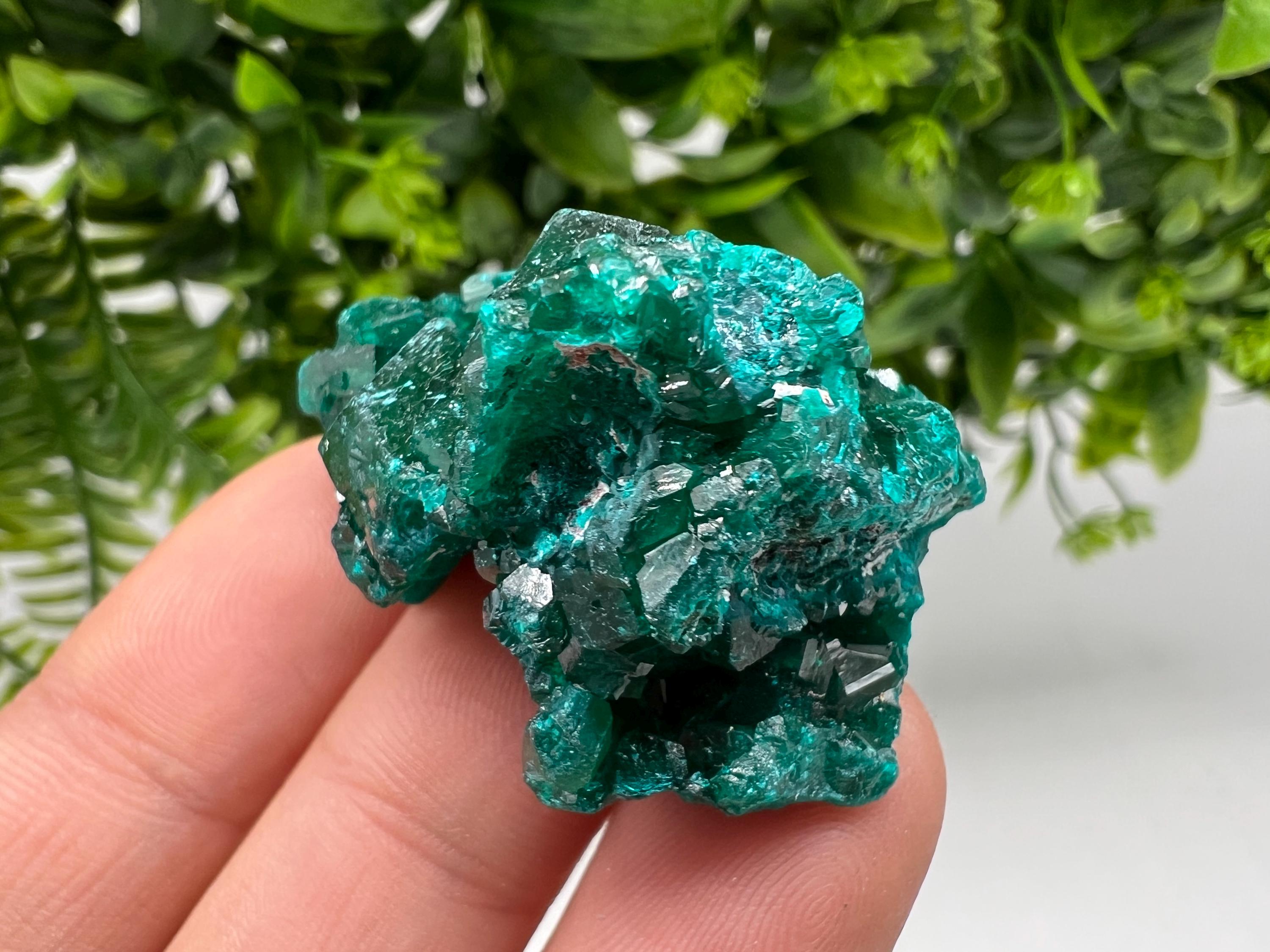 Stunning Green Dioptase from Sanda Hills,Mindouli,Pool Department,Mindouli District,Congo,green Dioptase,Dioptas Crystal,Dioptase collecting
