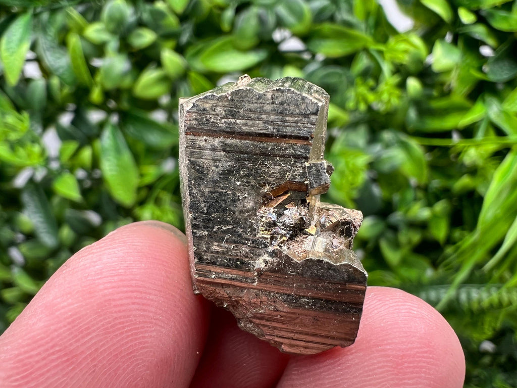 Mini Rainbow Pyrite Cluster, Borieva Mine, Bulgaria